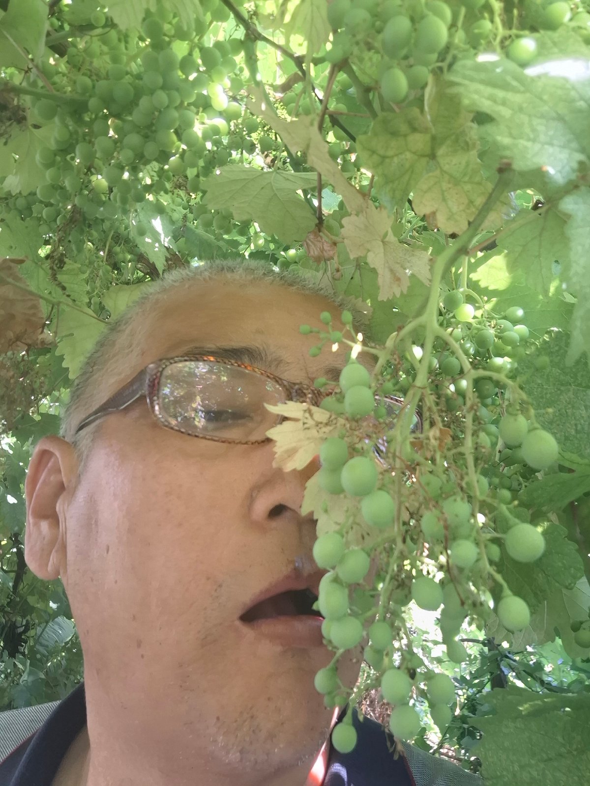 Morning stroll through a green Almaty garden with a warm greeting