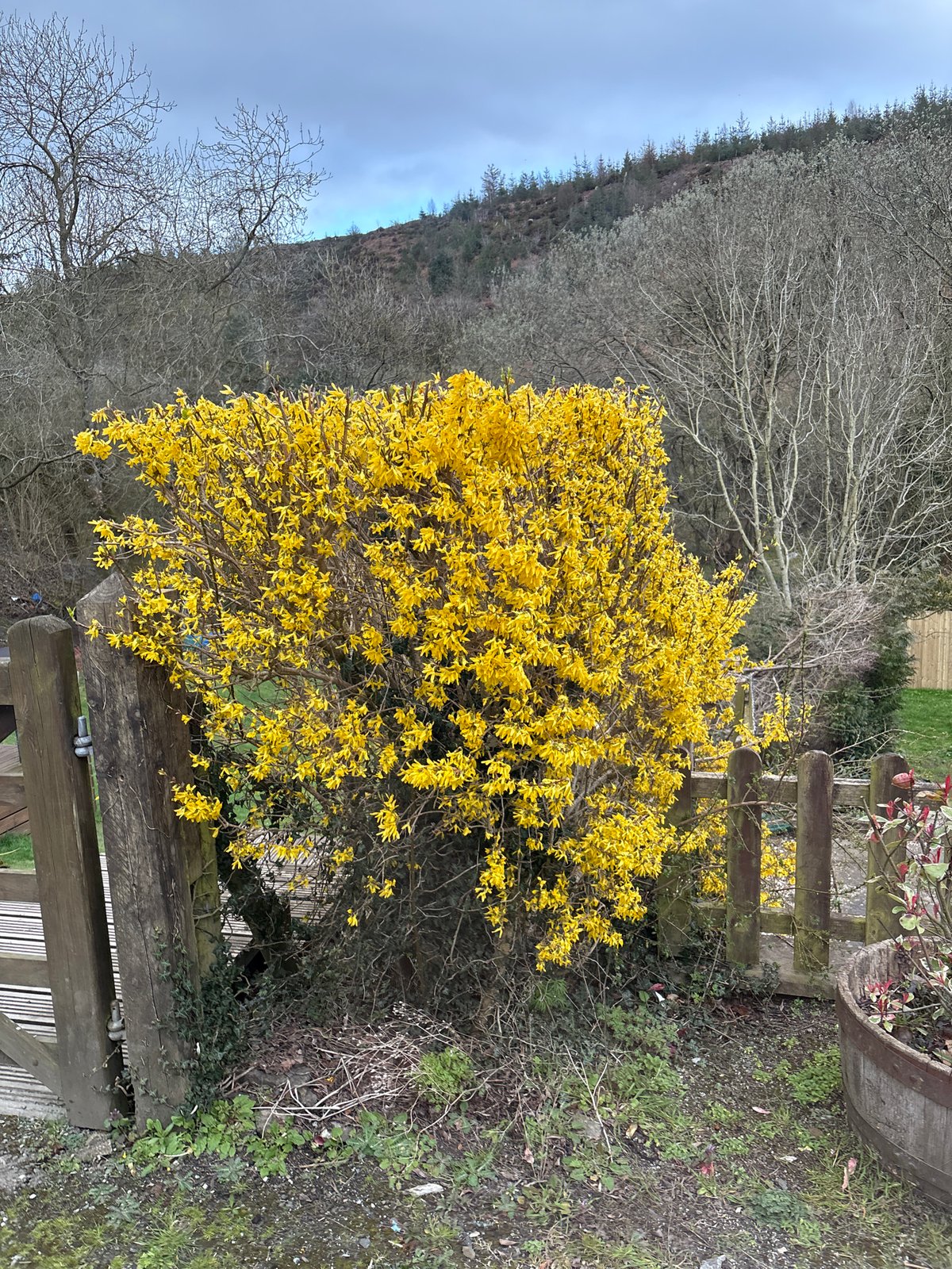 Spring countryside scenes documented in Shelve, UK