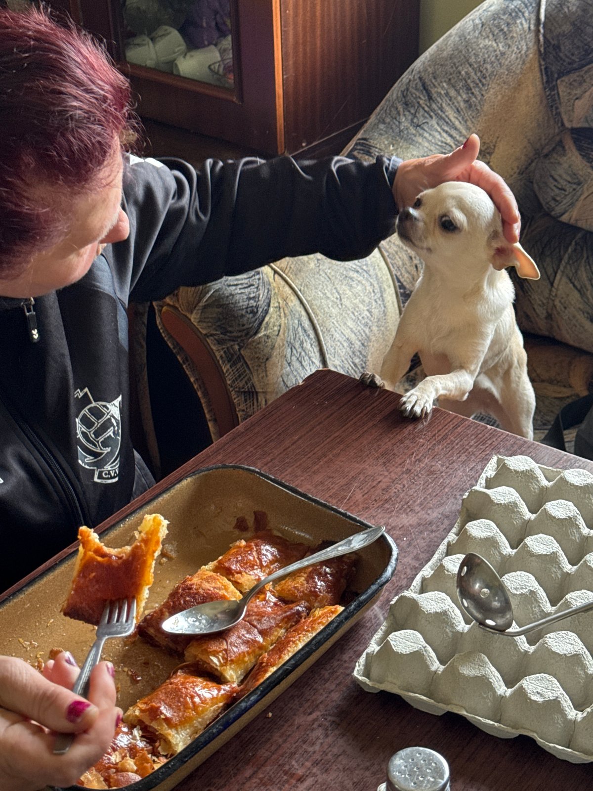 Woman pets small dog on table in Karlovo home