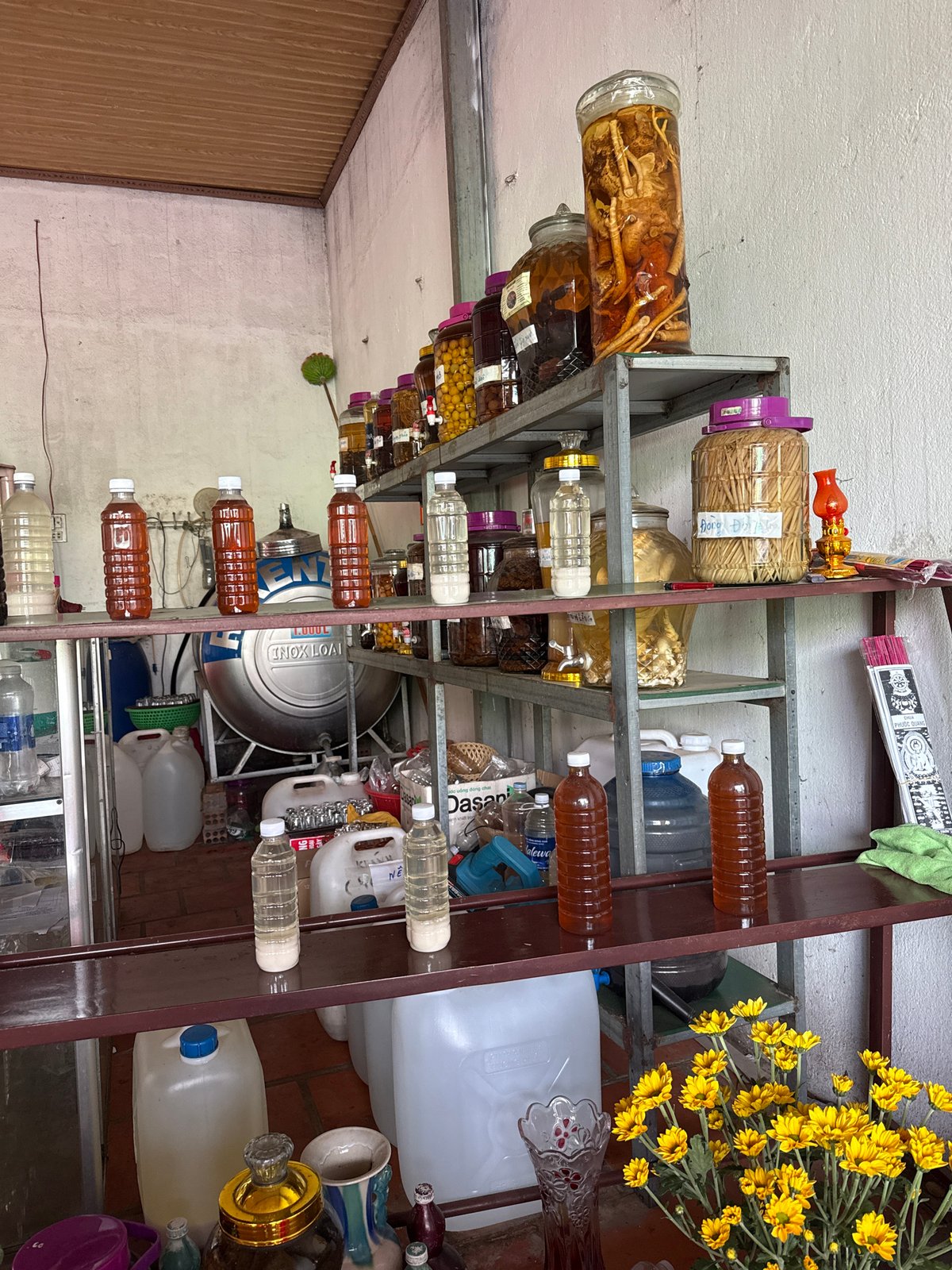 Traditional medicine facility documented in rural Vietnam