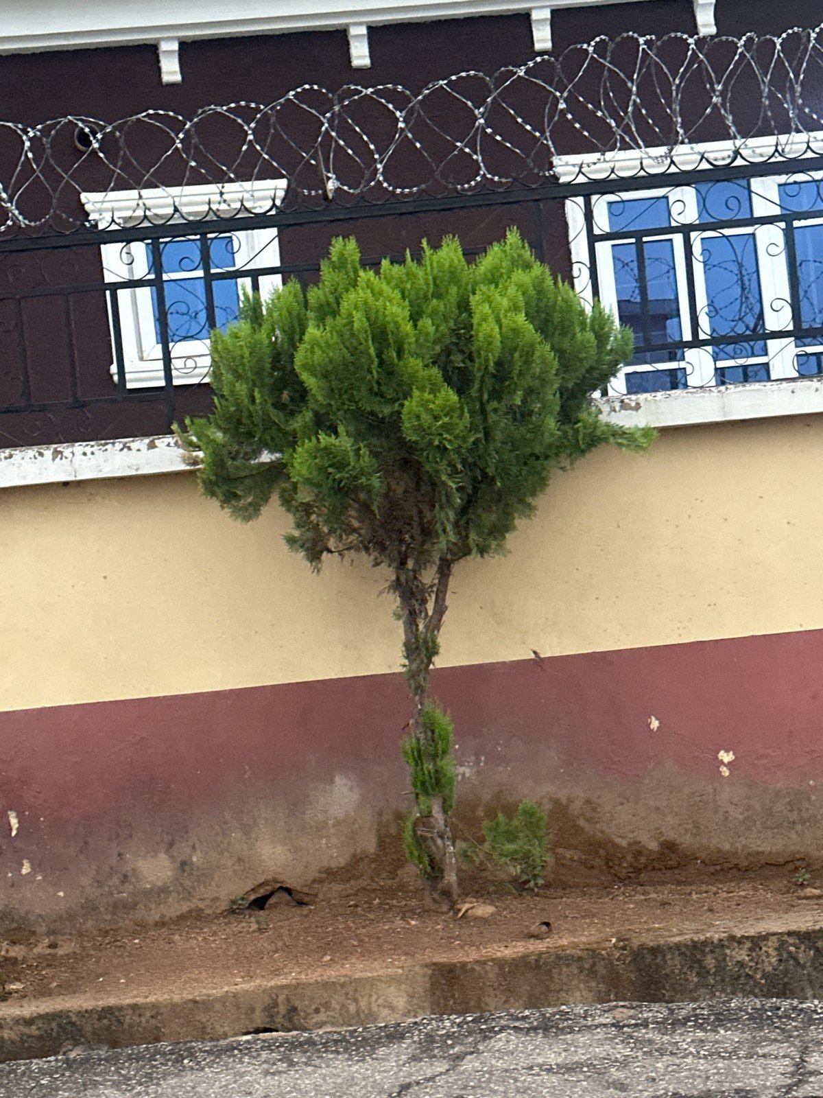 Overcast evening street scenes documented across Jos, Nigeria