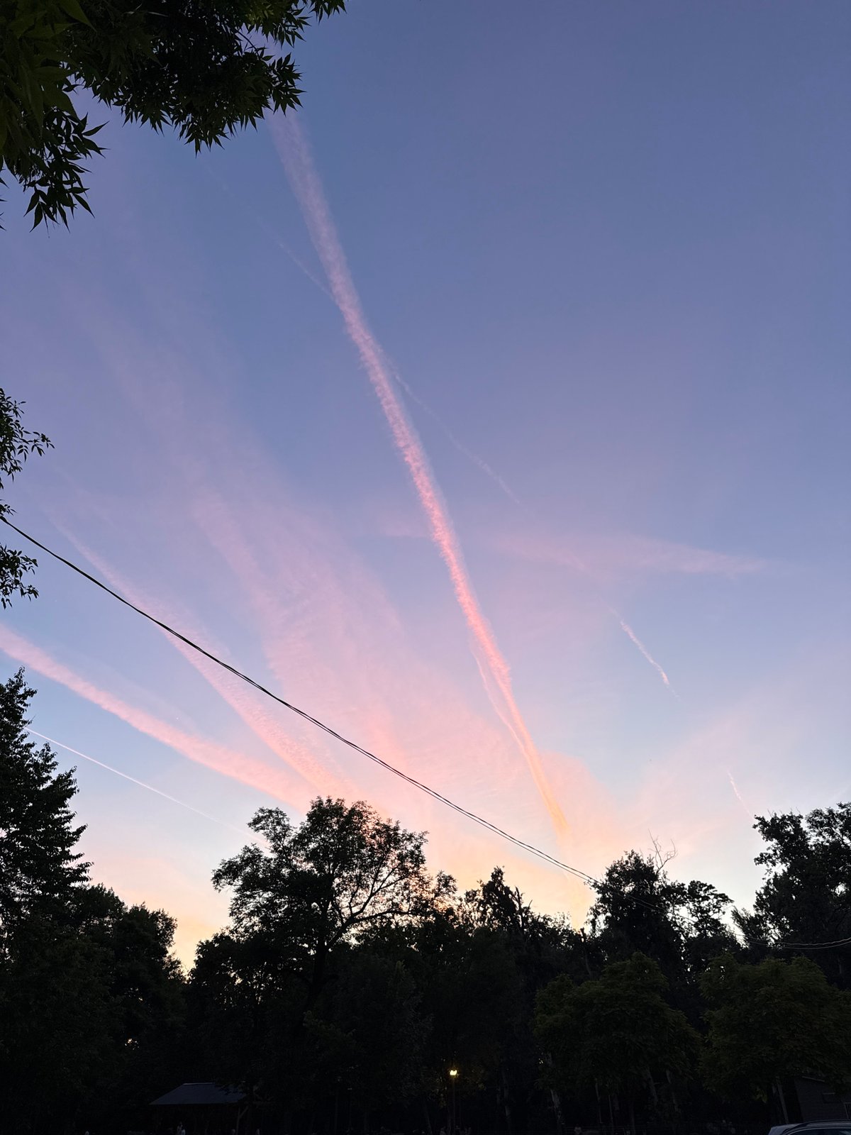 Pink contrails observed in Belgrade dusk sky