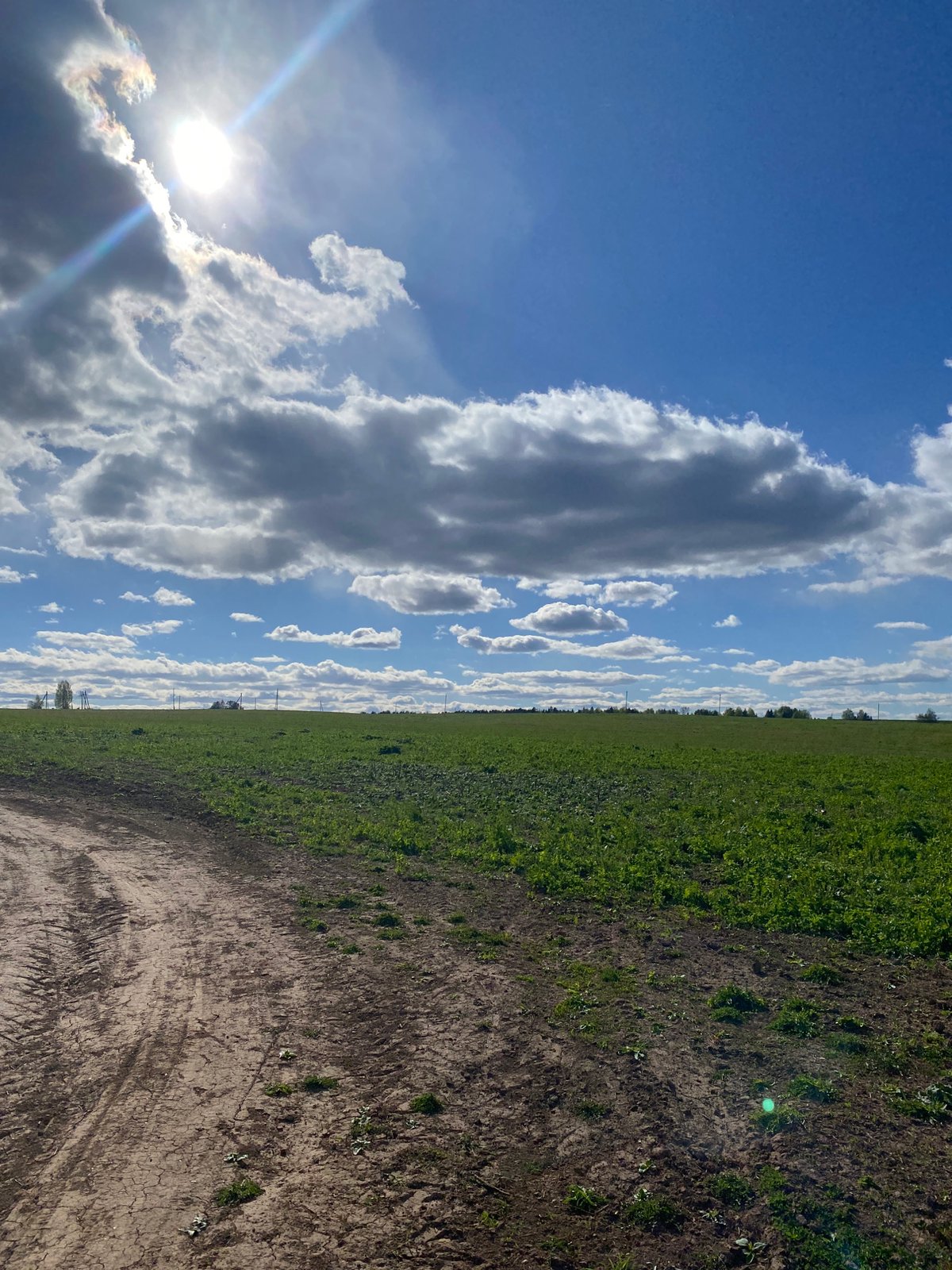 Spring day leisure activities captured in Russian countryside