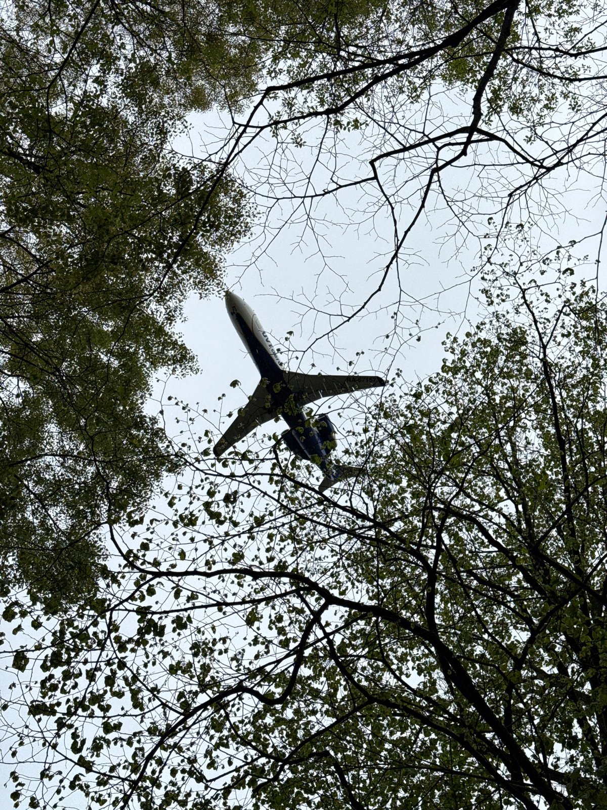 Leisurely park walk documented in Sirius, Russia nature area