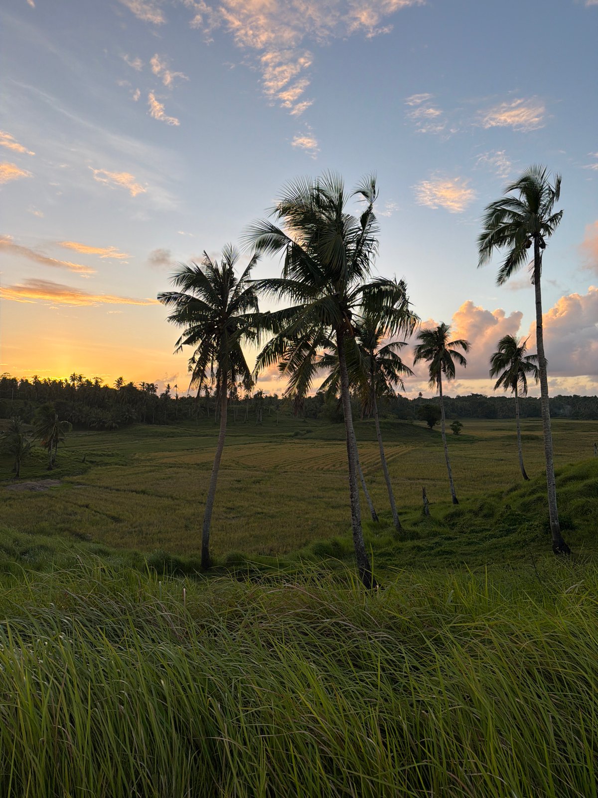 Morning rural life documented in General Luna, Philippines