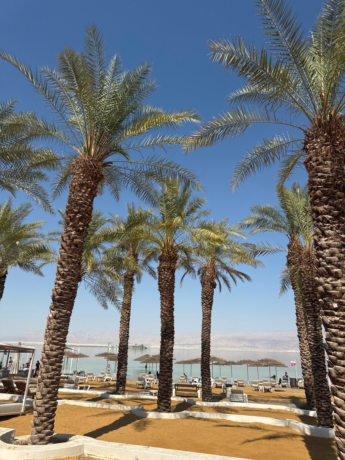Empty beach resort on the Dead Sea, midday