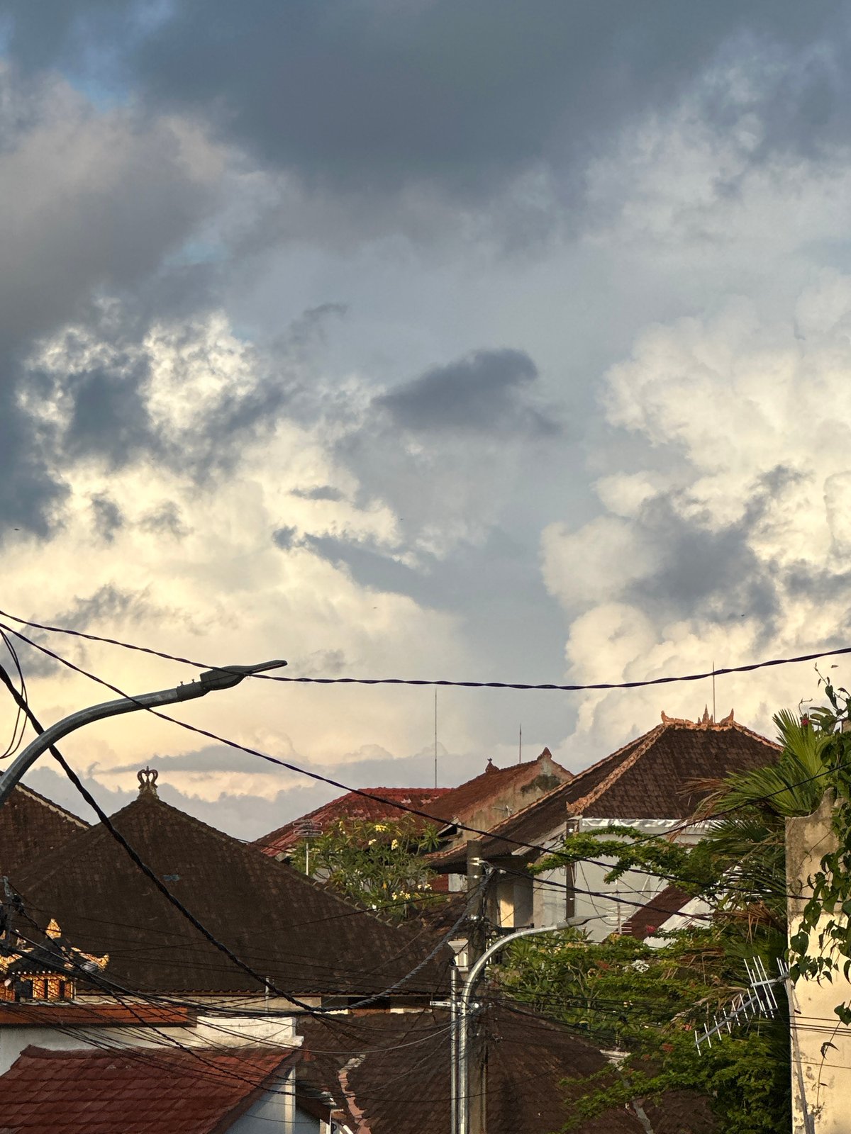 Casual moments with pet, flowers captured in North Kuta