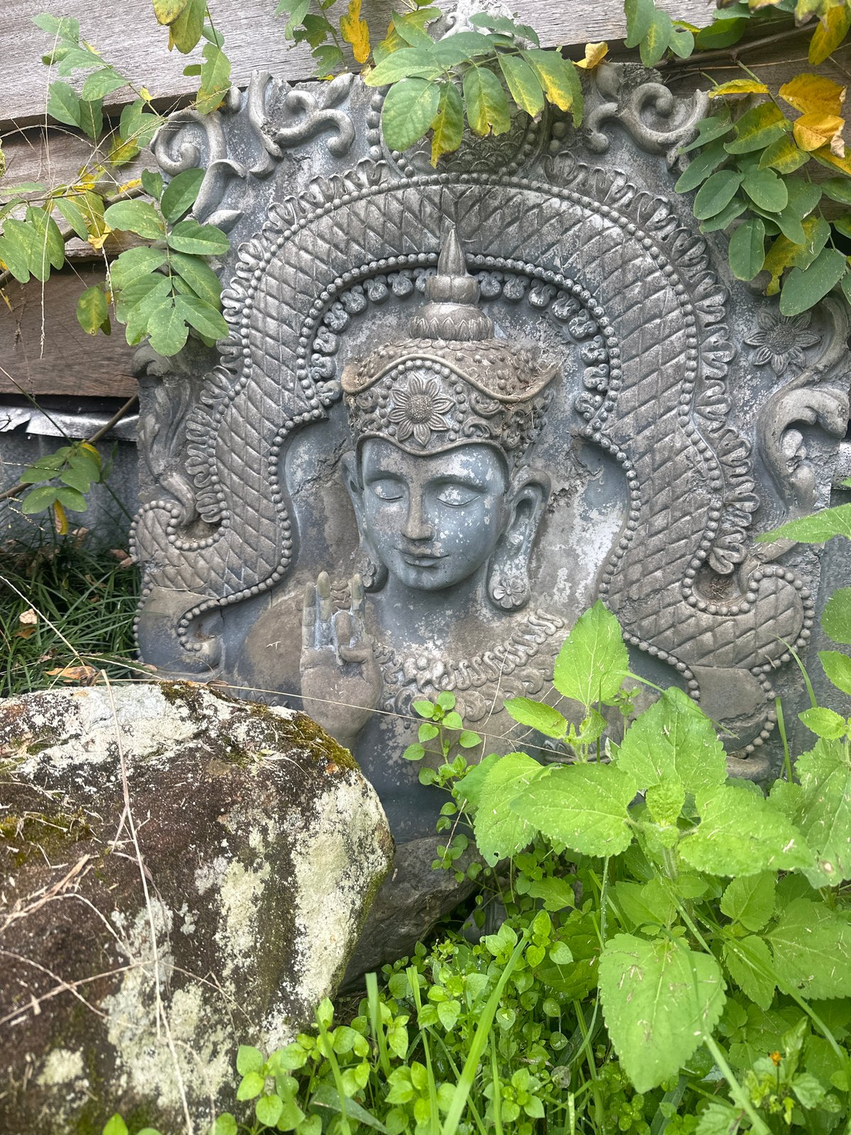 Quiet morning at a rural Thora property with an eclectic spiritual vibe
