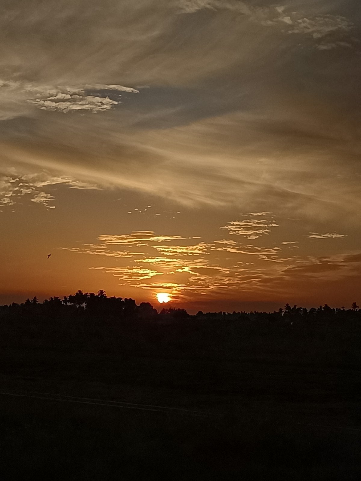 Sunset fading over rural Meunasah Raya, Indonesia