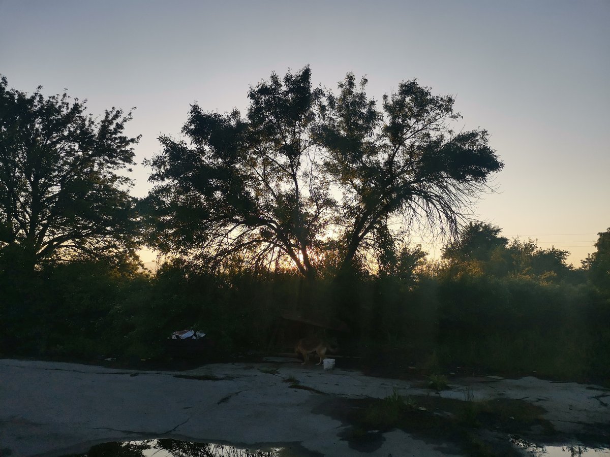 Dawn breaks over abandoned industrial site in Zhivkovo, Bulgaria