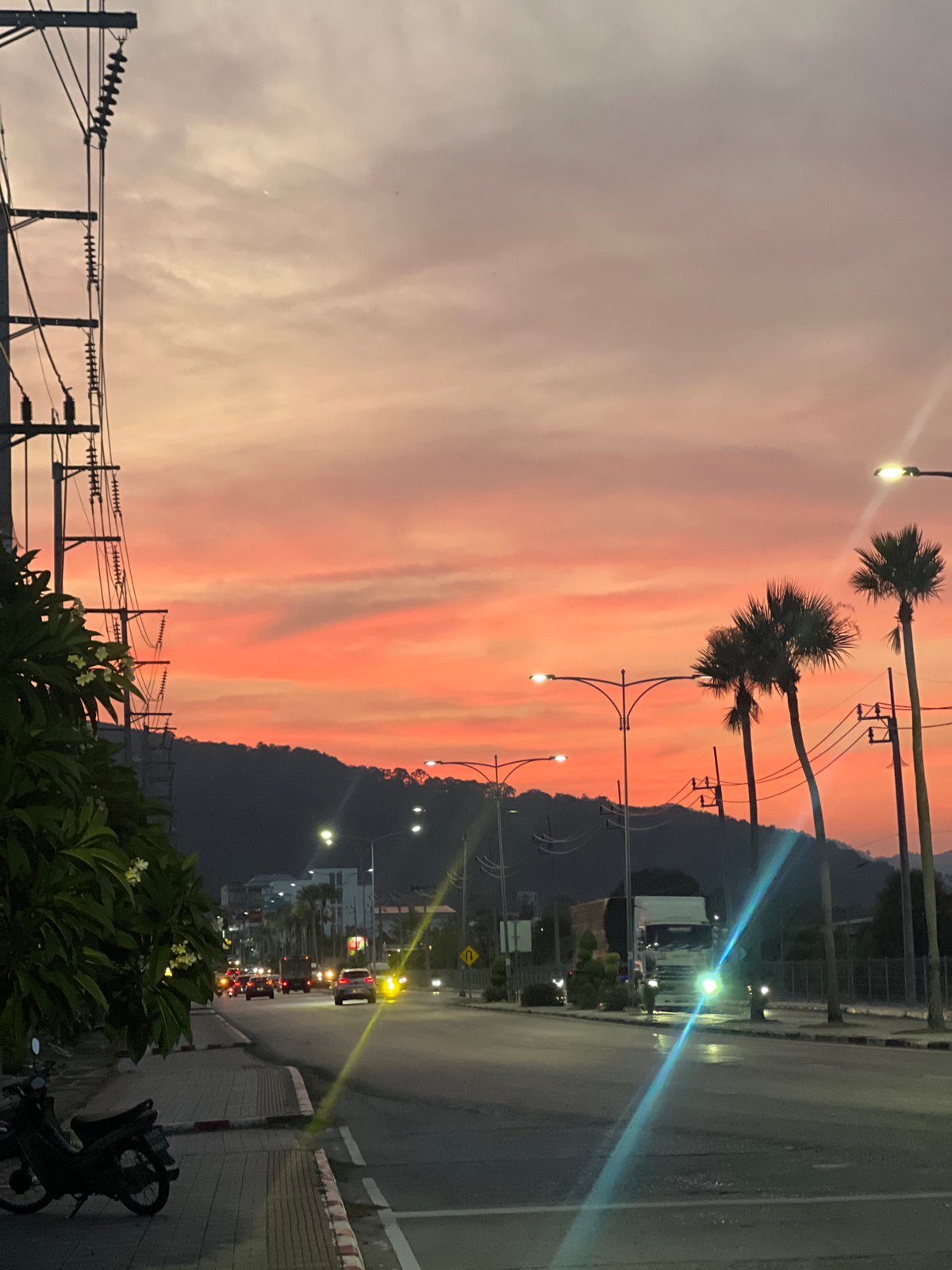 Colorful sunset observed over Phuket City with palm trees