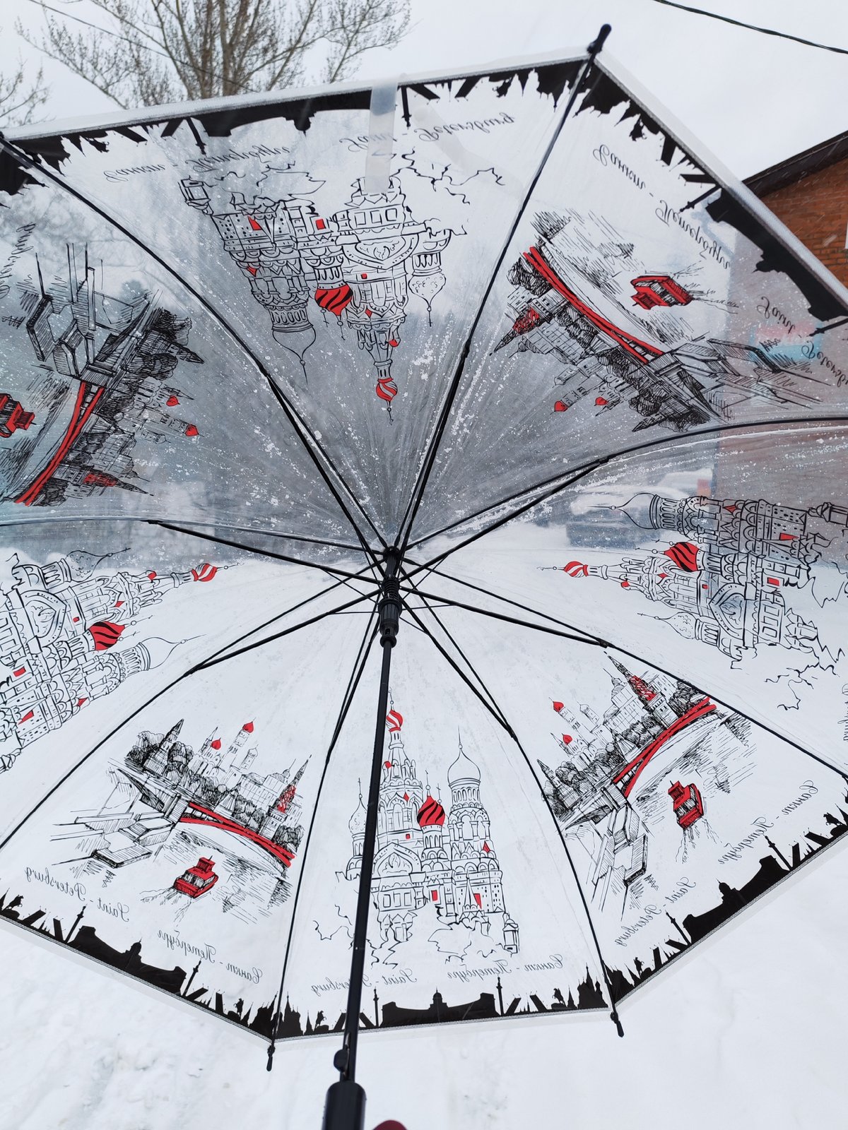 Winter walk documented in Izhevsk shows birds, umbrella, snowy streets