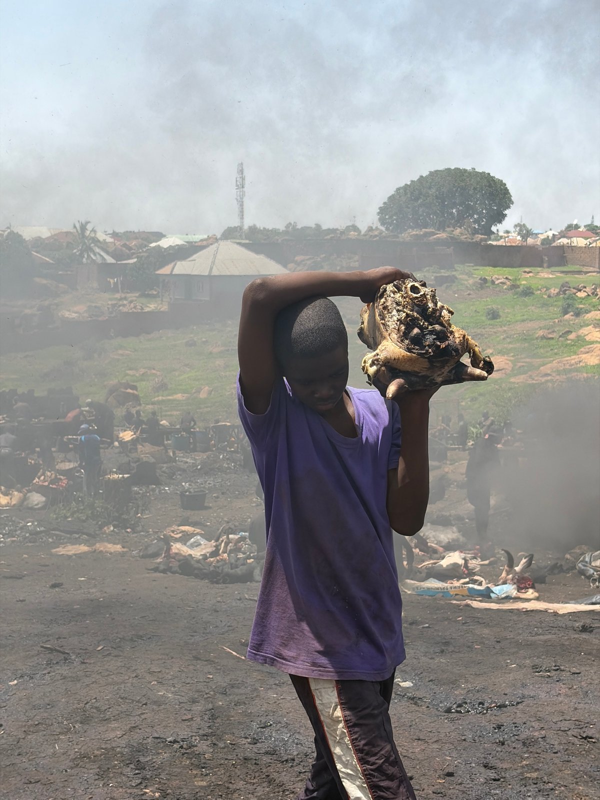 Animal processing and burning activities documented in Jos, Nigeria