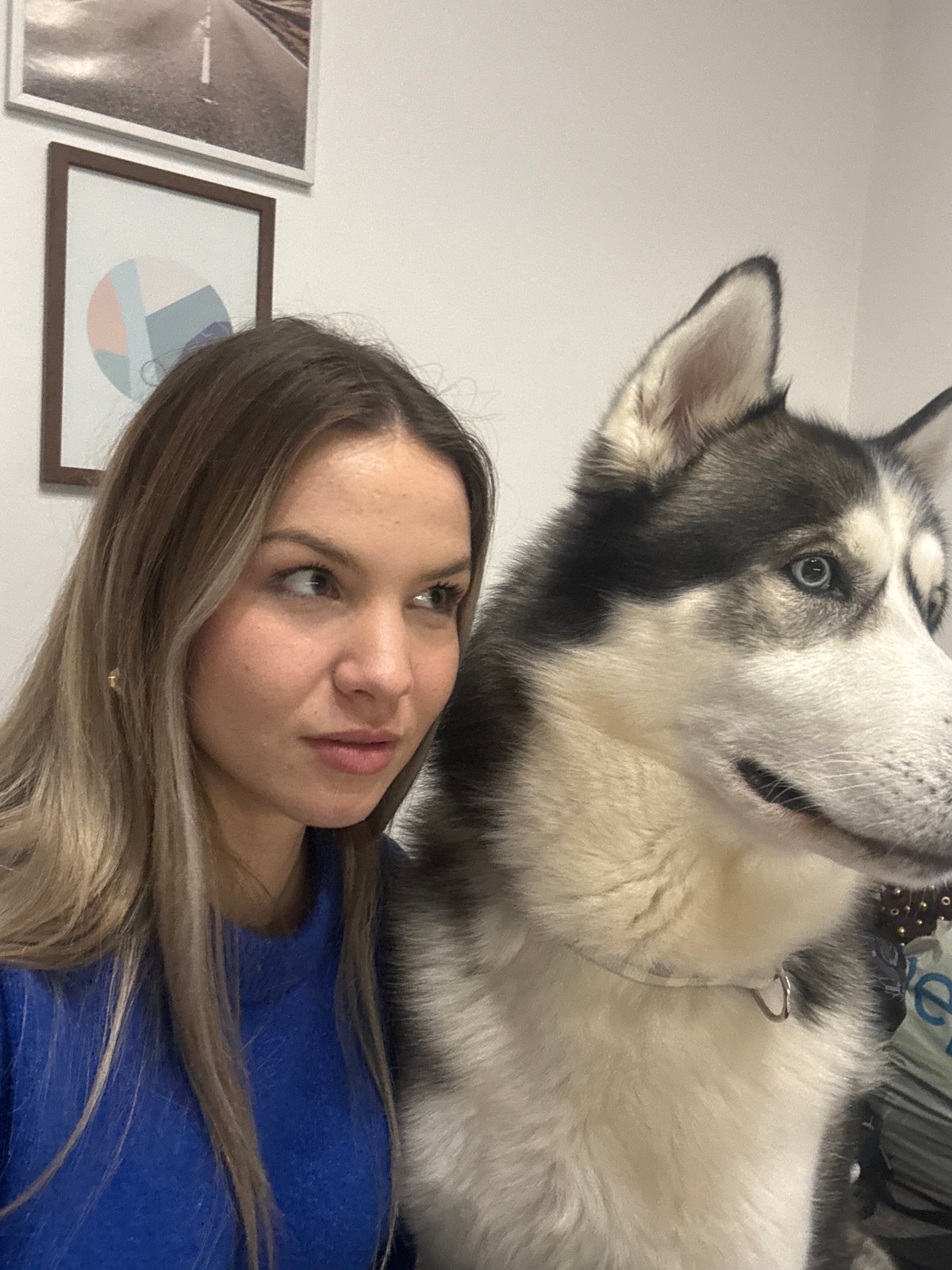 Domestic moments with pets, cooking, Easter decorations in Plovdiv