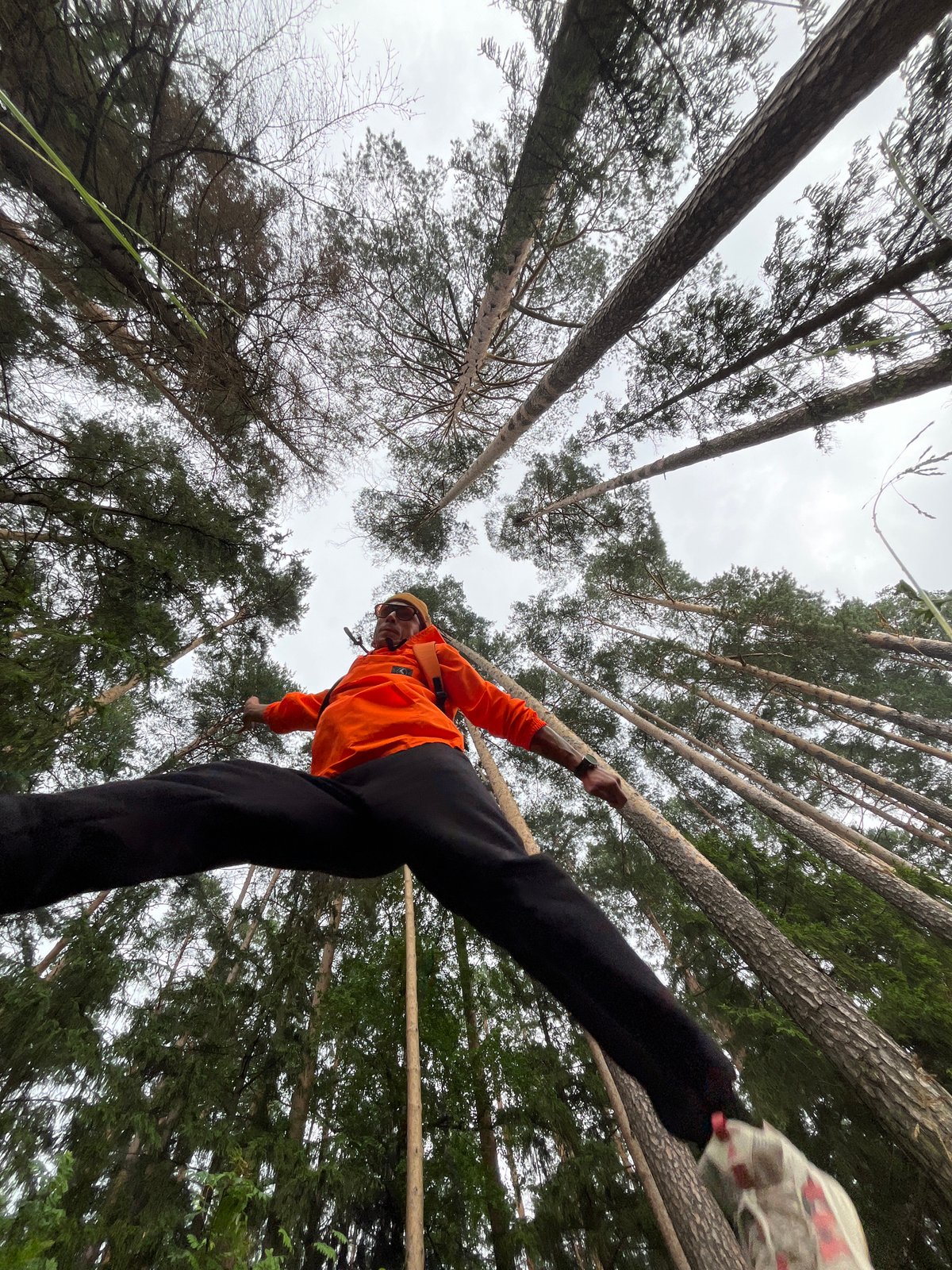 Forest antics in Chaikovsky: jumping, balancing, and selfies