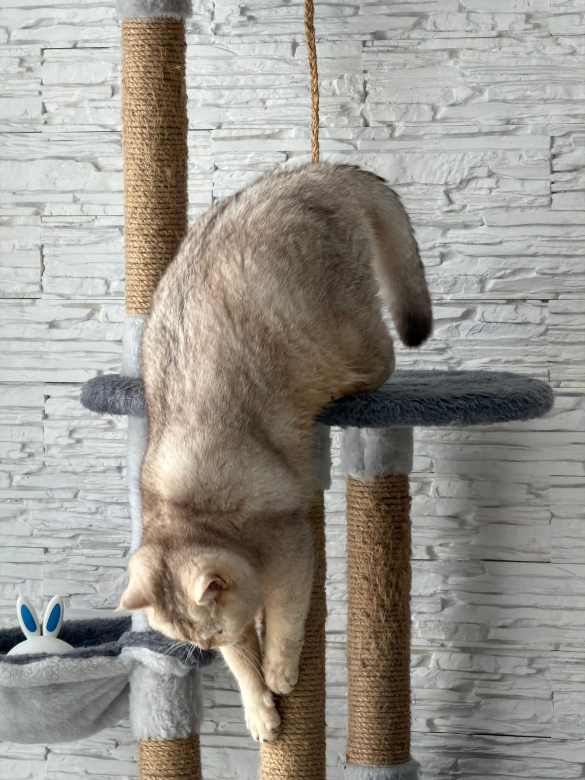 Afternoon at home: selfies, a cat, and a passing helicopter