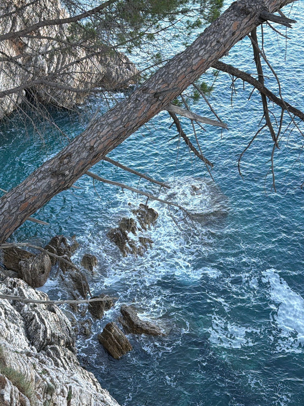 Rugged limestone cliffs meet the Adriatic at Mirište, Montenegro