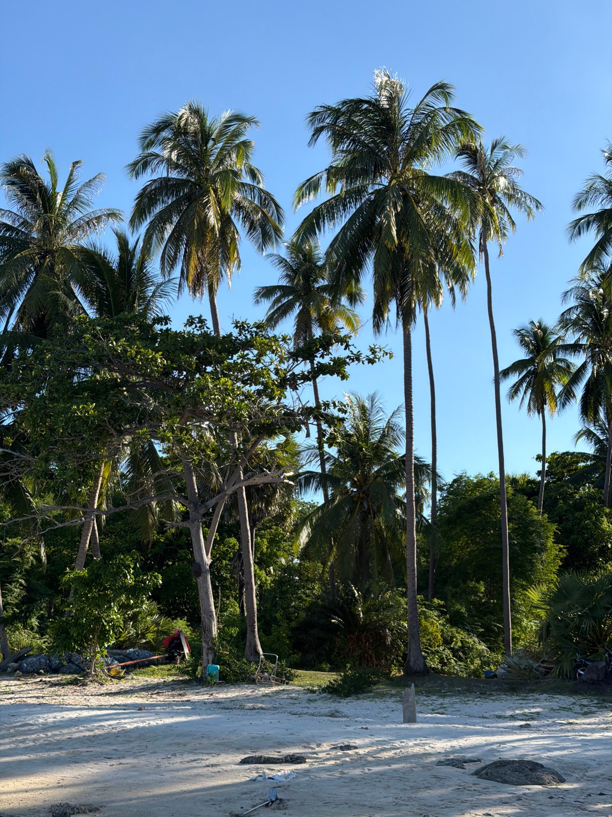 Shell in hand, boat on the water, Baan Thong Krut coastline