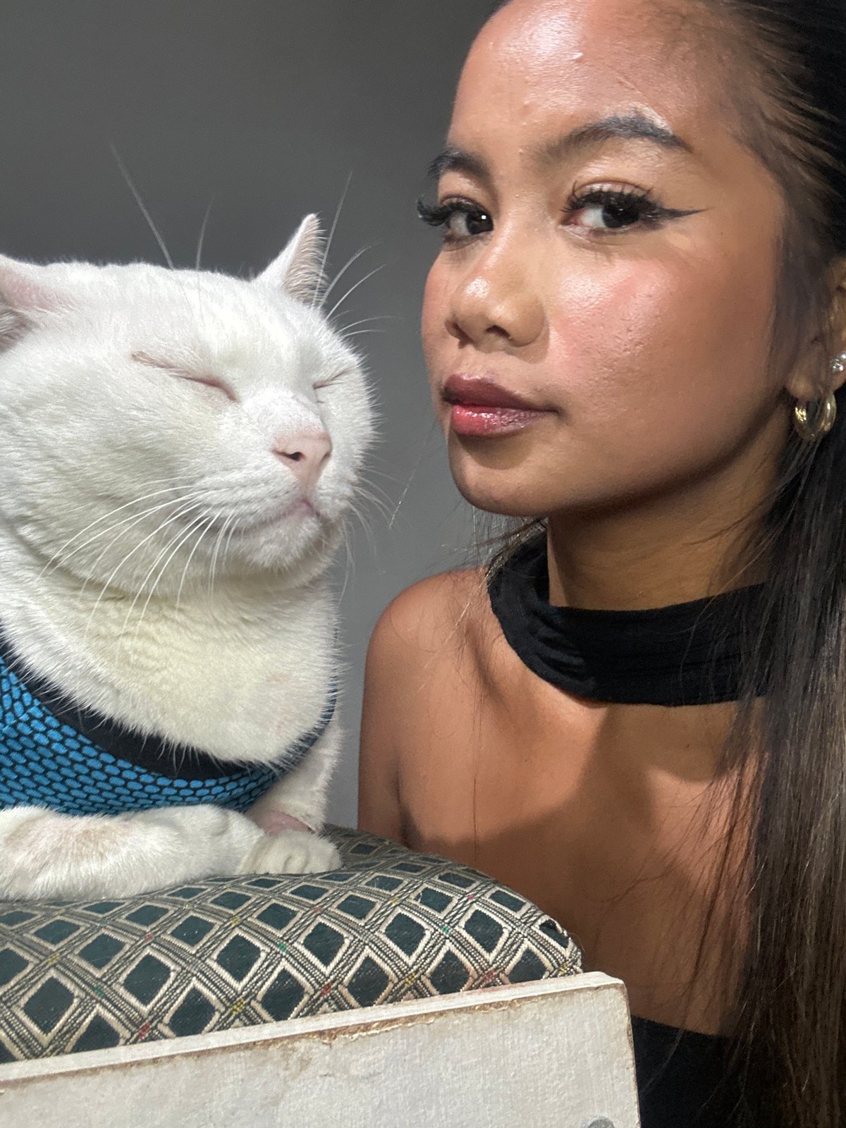 Woman poses with harnessed white cat in Jakarta selfie session