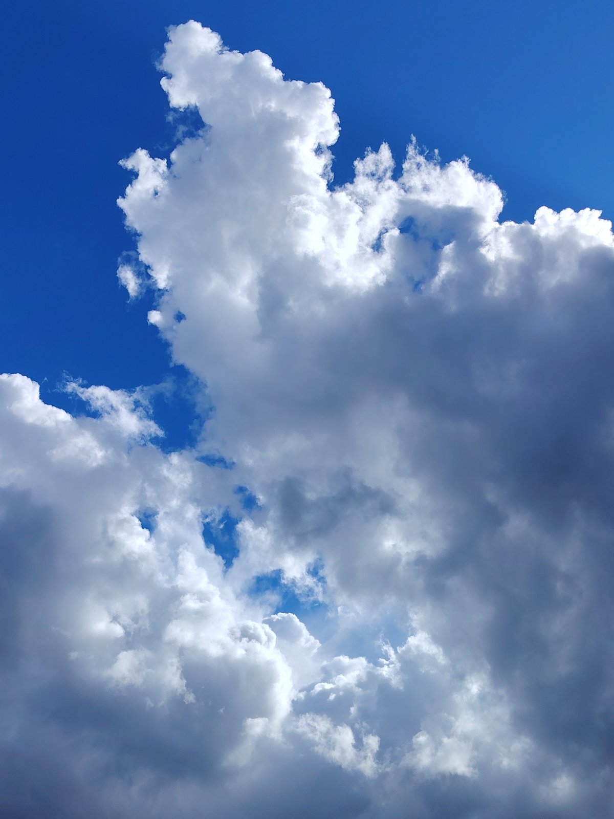 Cumulus clouds observed over Noviy, Russia