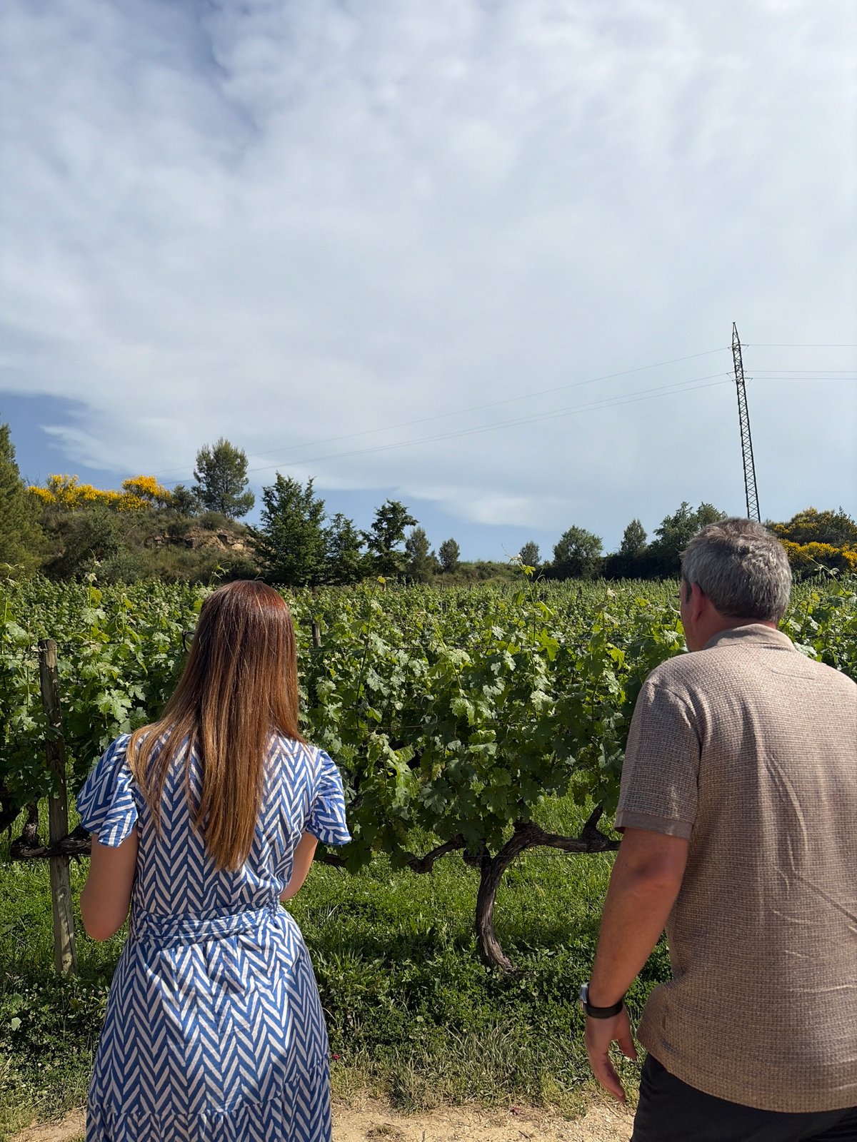 Afternoon tour of Gehry-designed winery hotel in Elciego captured
