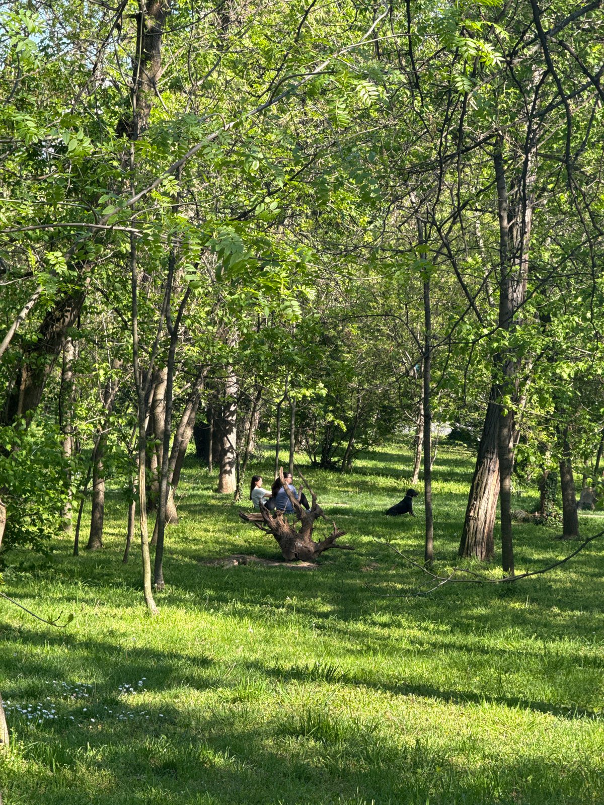 Park and apartment scenes documented in Belgrade suburb