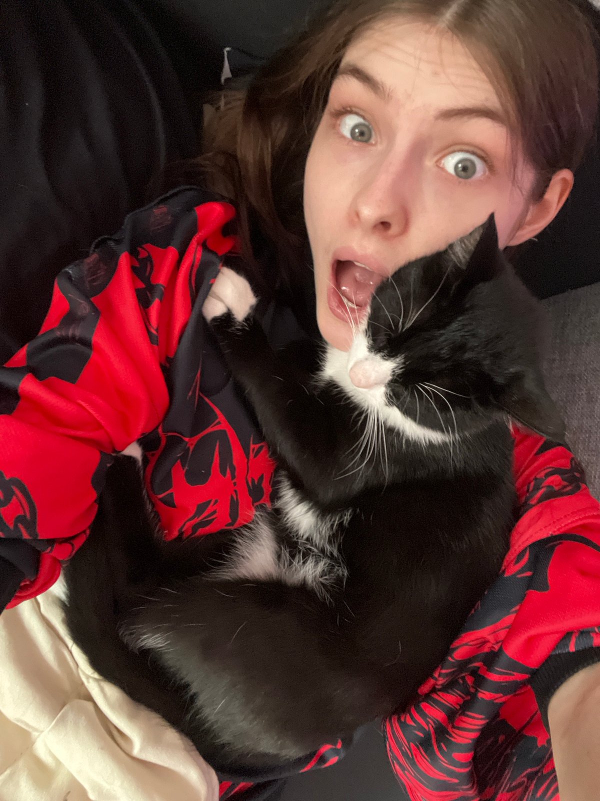 Artist documents afternoon with cat and handmade crafts in Petersburg
