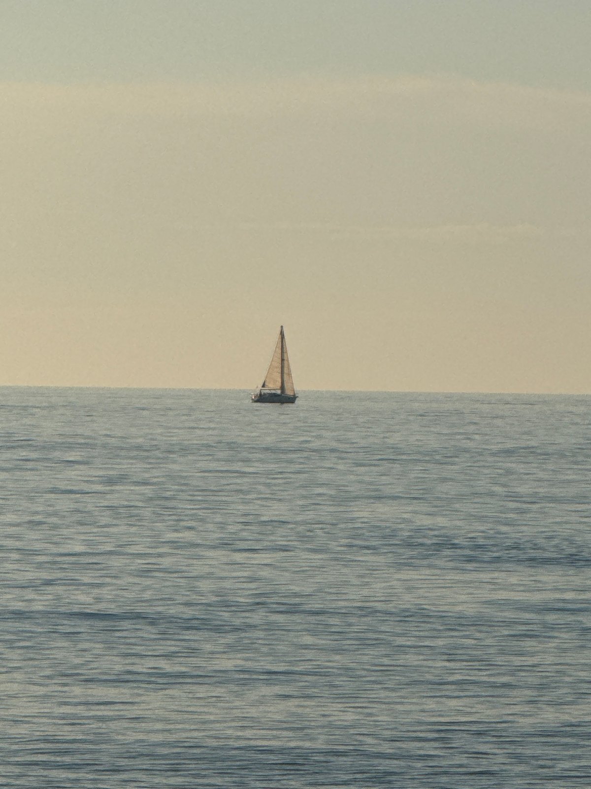 Batumi coastal and urban scenes observed simultaneously
