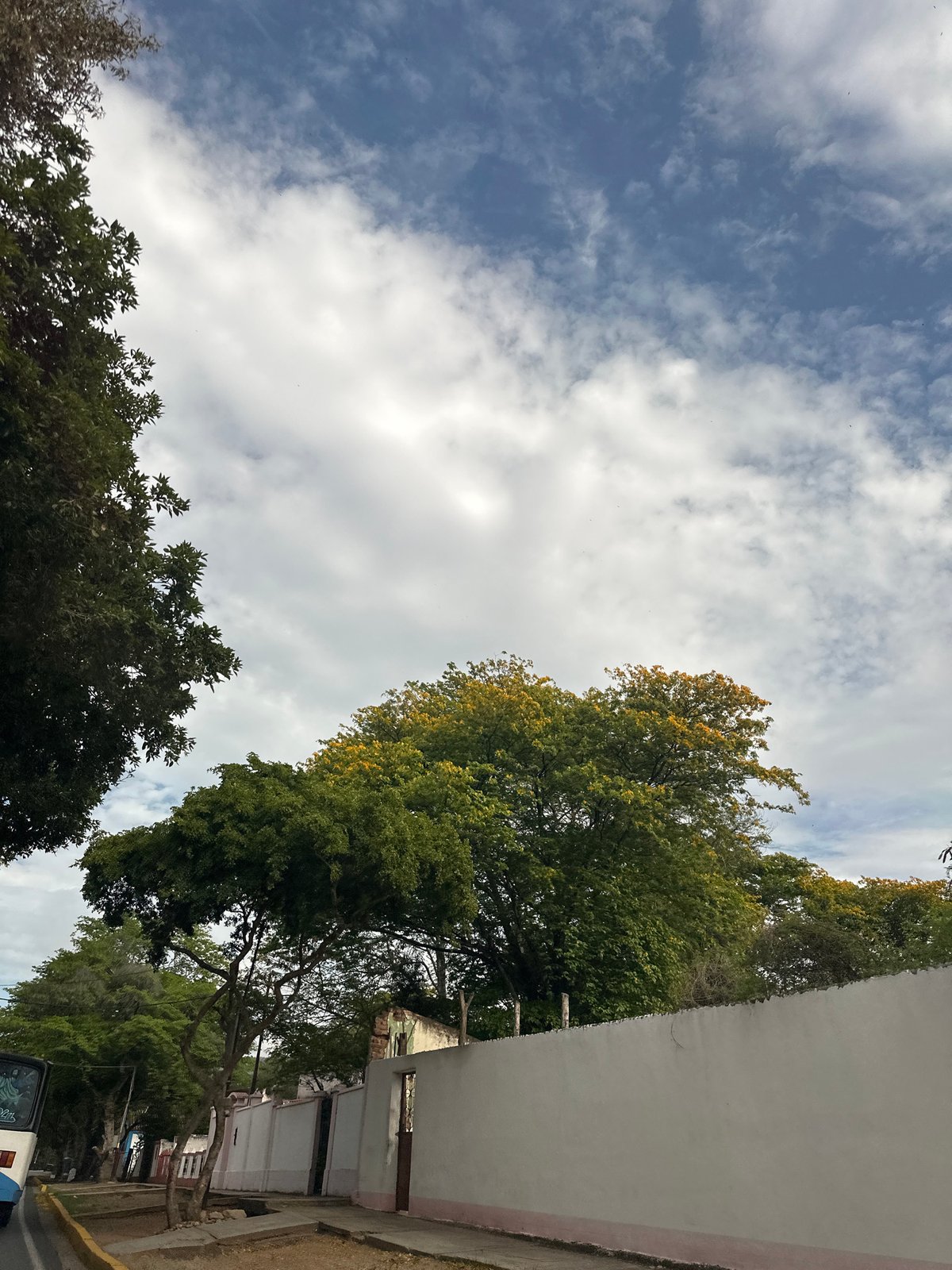 Venezuelan daily life documented across Santa Ana and Tacarigua
