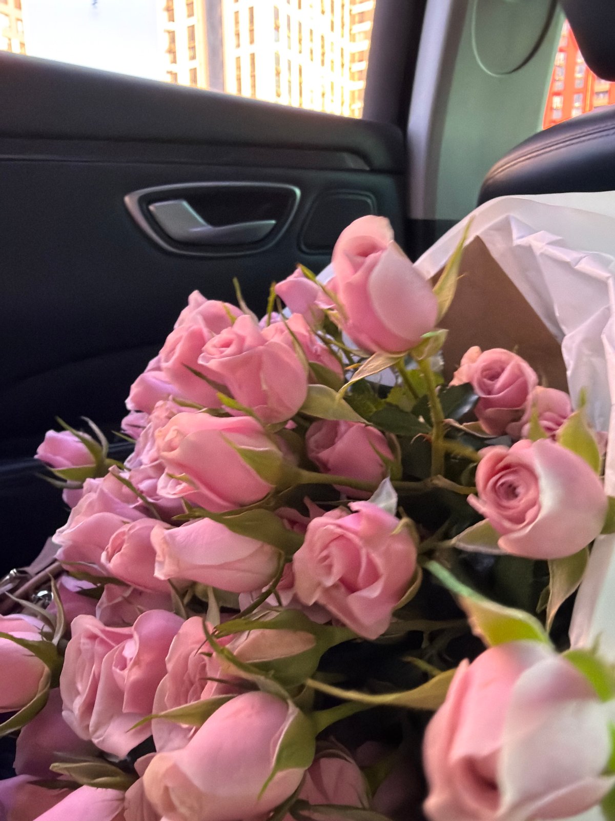 Pink roses and a car ride through Kyiv