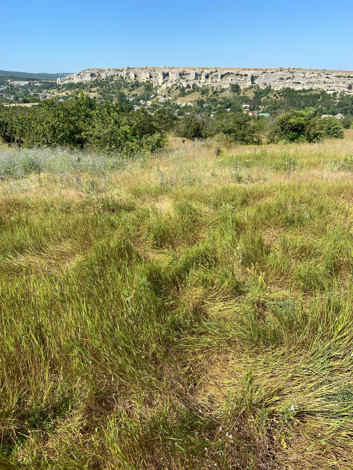 Solar-paneled hillside home and wildflower landscape in rural Crimea