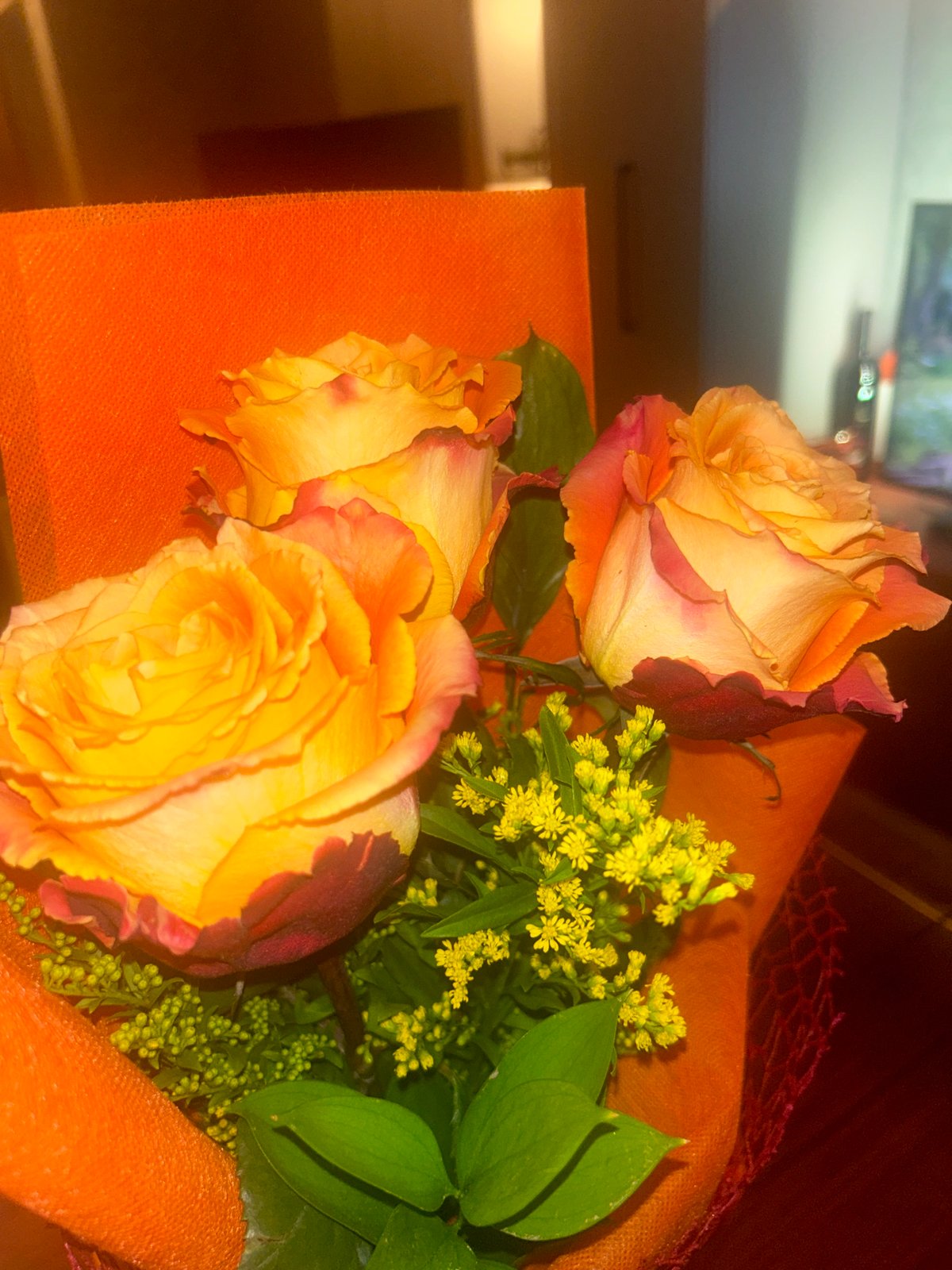 33rd Birthday Celebration Captured in Sofia Home