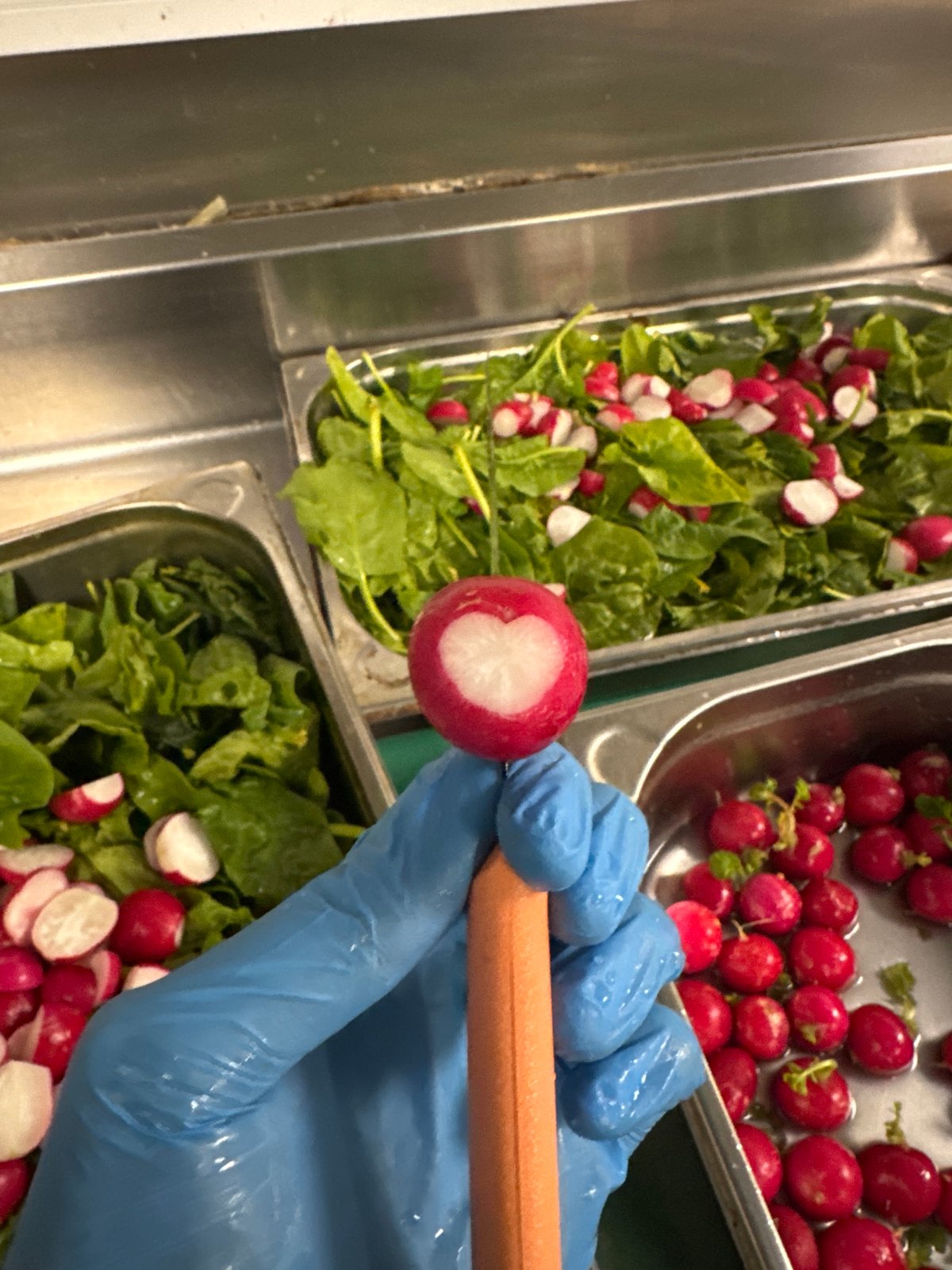 Food preparation with fresh vegetables documented in Italy