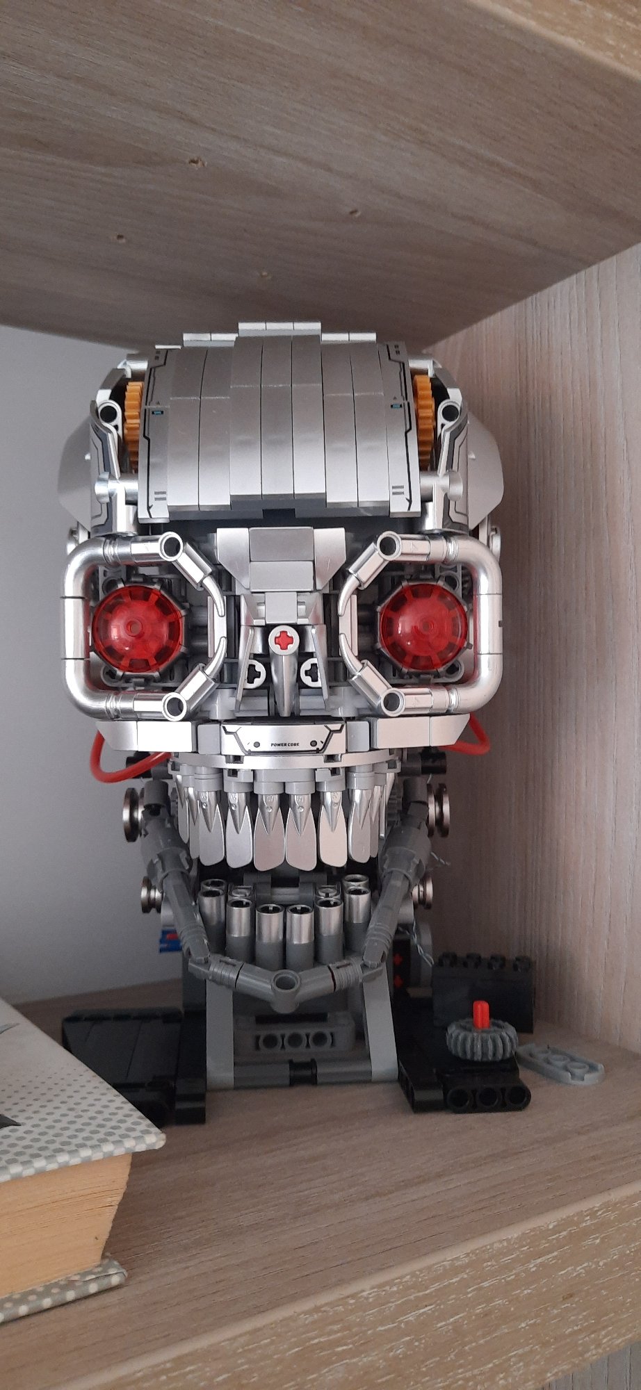 Lego builds, a cat, and paintings in a Dnipro home