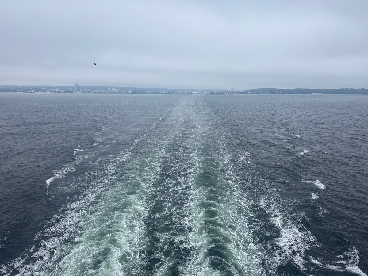 Ferry crossing Gdynia harbor past cargo ships on a grey morning