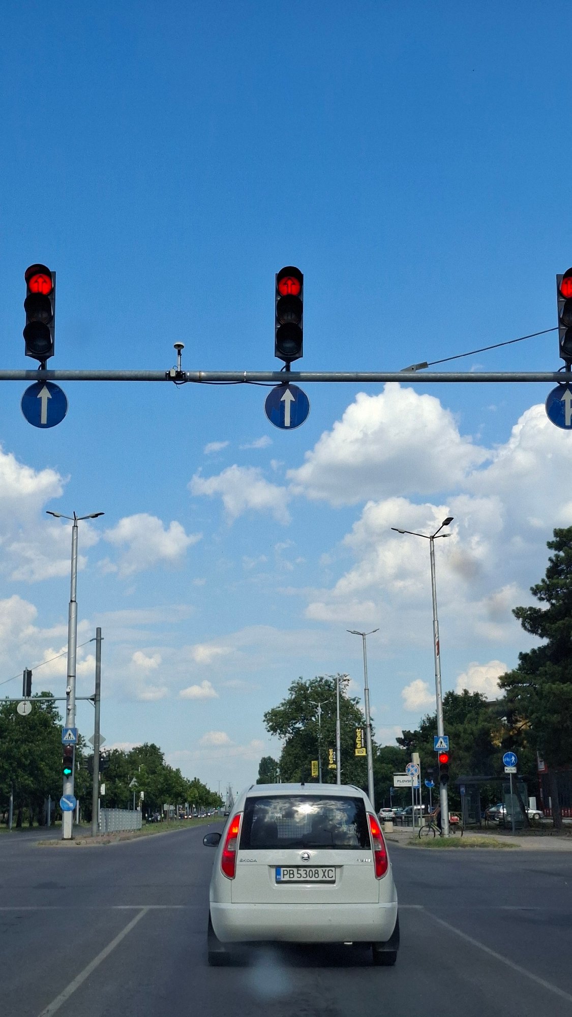 Afternoon drive through Plovdiv, flowers in tow