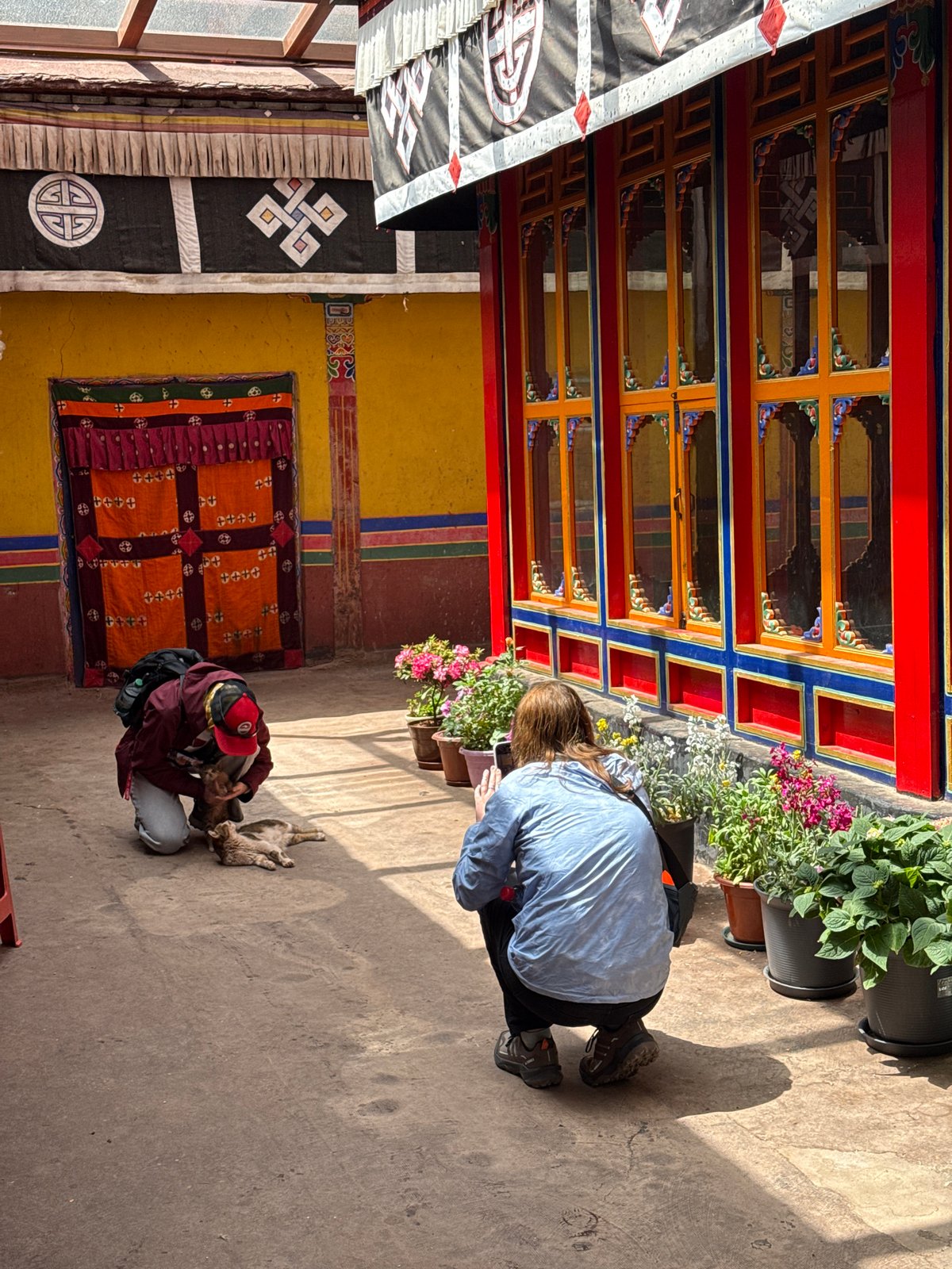Traditional courtyard architecture documented in Lhasa, China