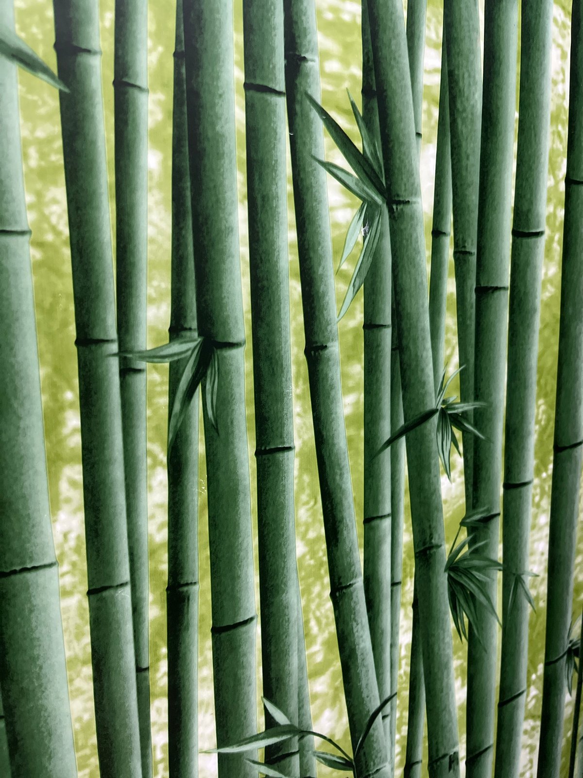 Bamboo wall pattern photographed in Russian town