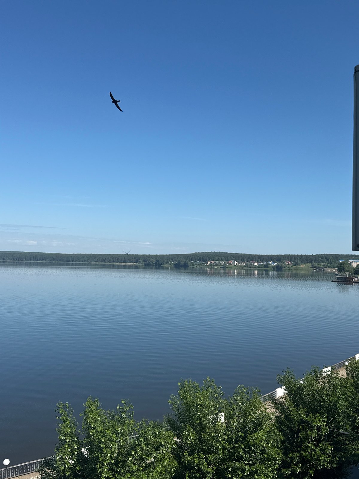 Morning tranquility captured at Votkinskoye Reservoir, birds soaring overhead