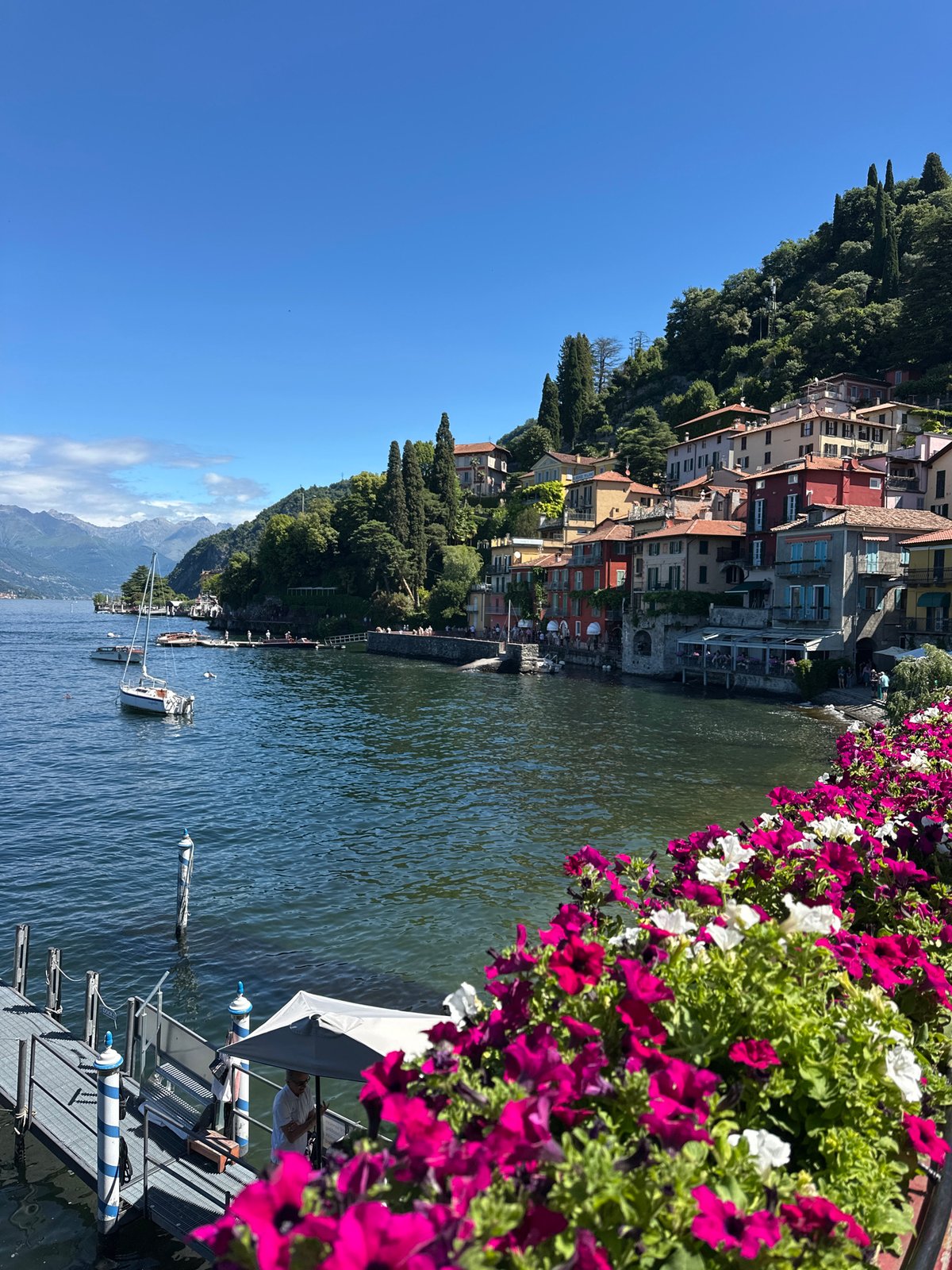 Tourist captures scenic Lake Como views with blooming petunias