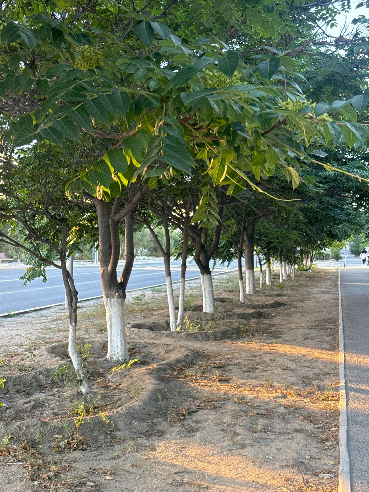 Morning walk through Aktau's streets, parks, and promenade