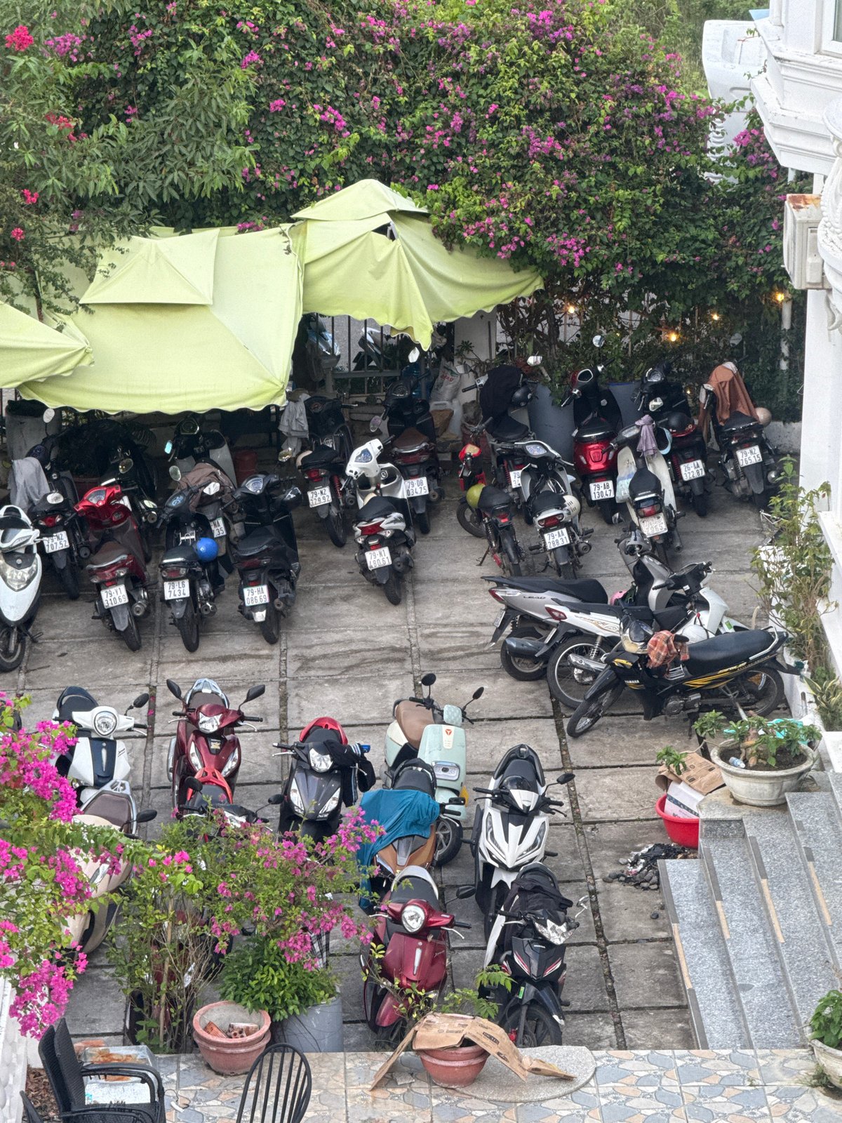 Daily Life Documented Across Nha Trang Ward, Fire Reported