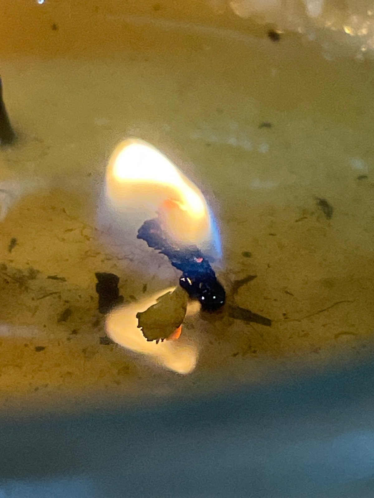 Close-up documentation of toys, candles captured in Denpasar