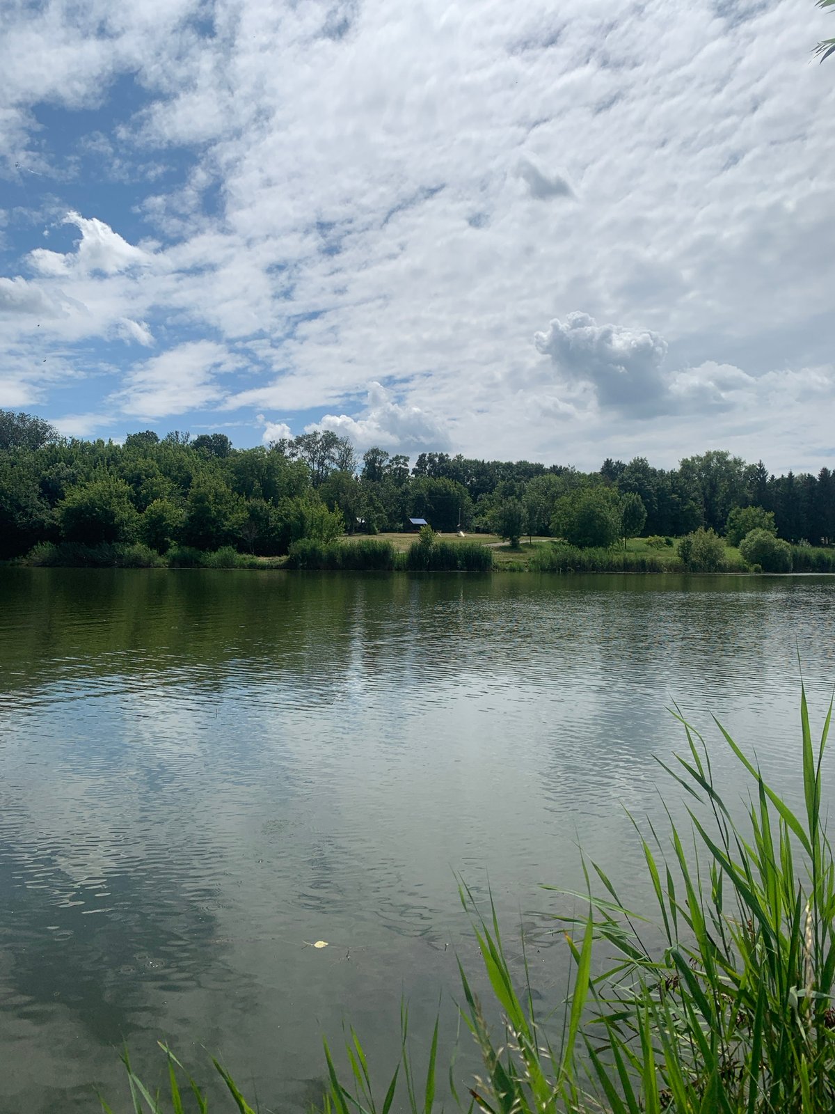 Lakeside fishing session in Dondușeni, Moldova, small catch landed
