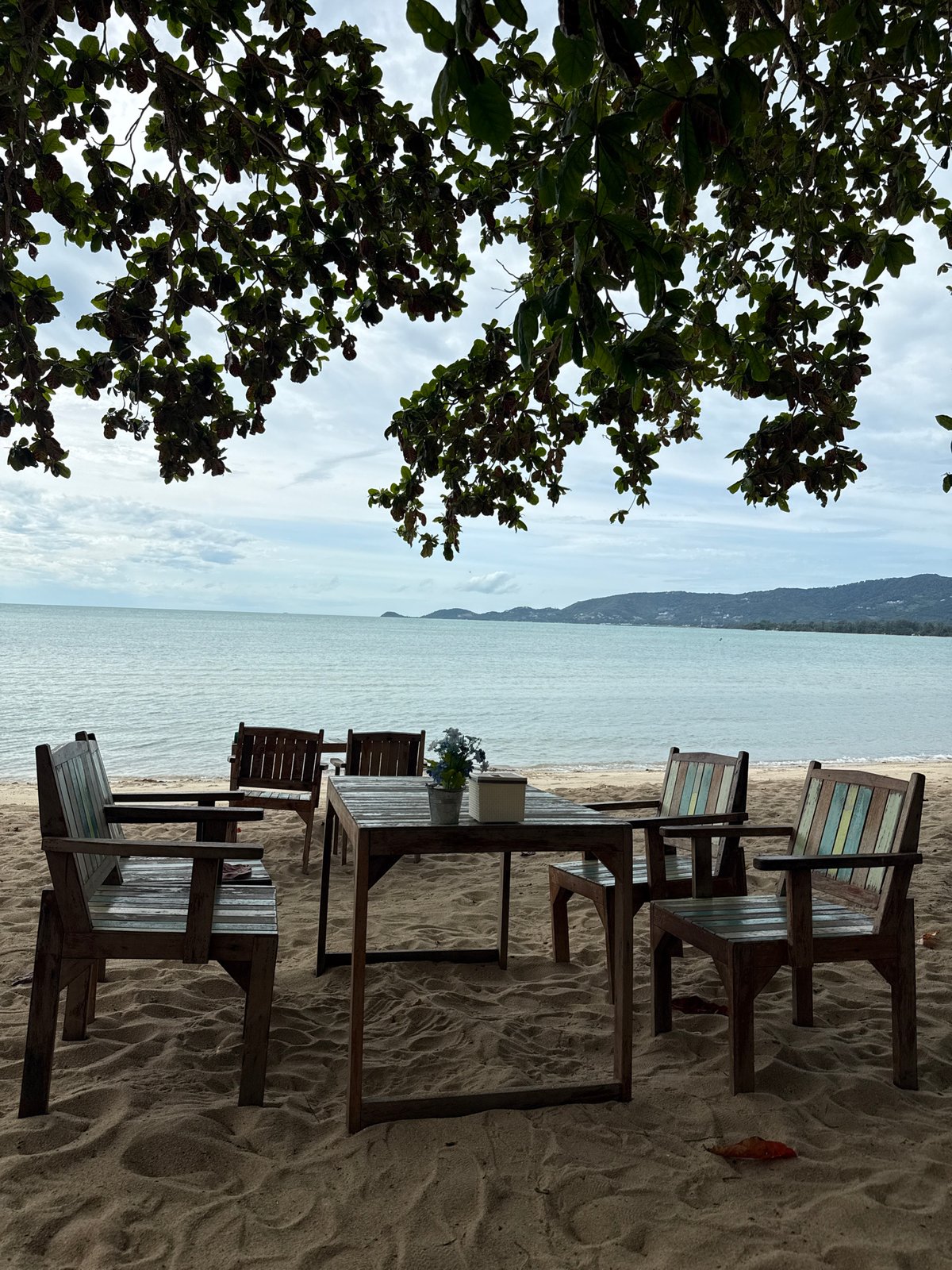 Lazy beach lunch stop in Ko Samui with tropical detail