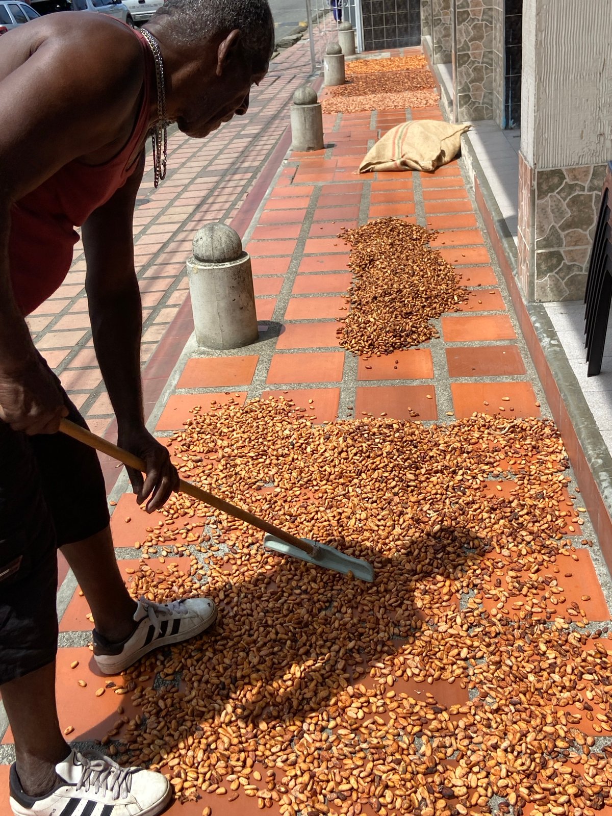 Man processes cacao beans on rooftop in Venezuelan town