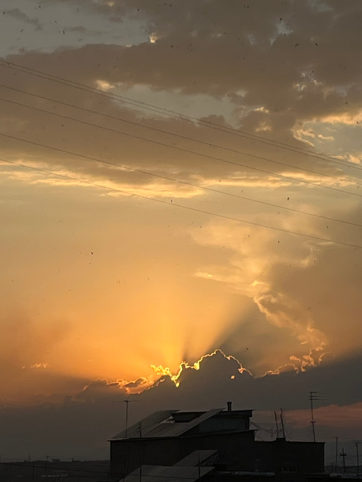 Dramatic sunset and birds over Yerevan's skyline