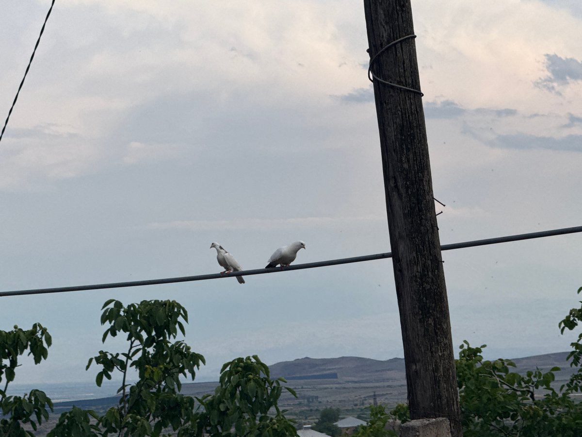 Quiet rural afternoon in Kosh: birds, bonfires, vines