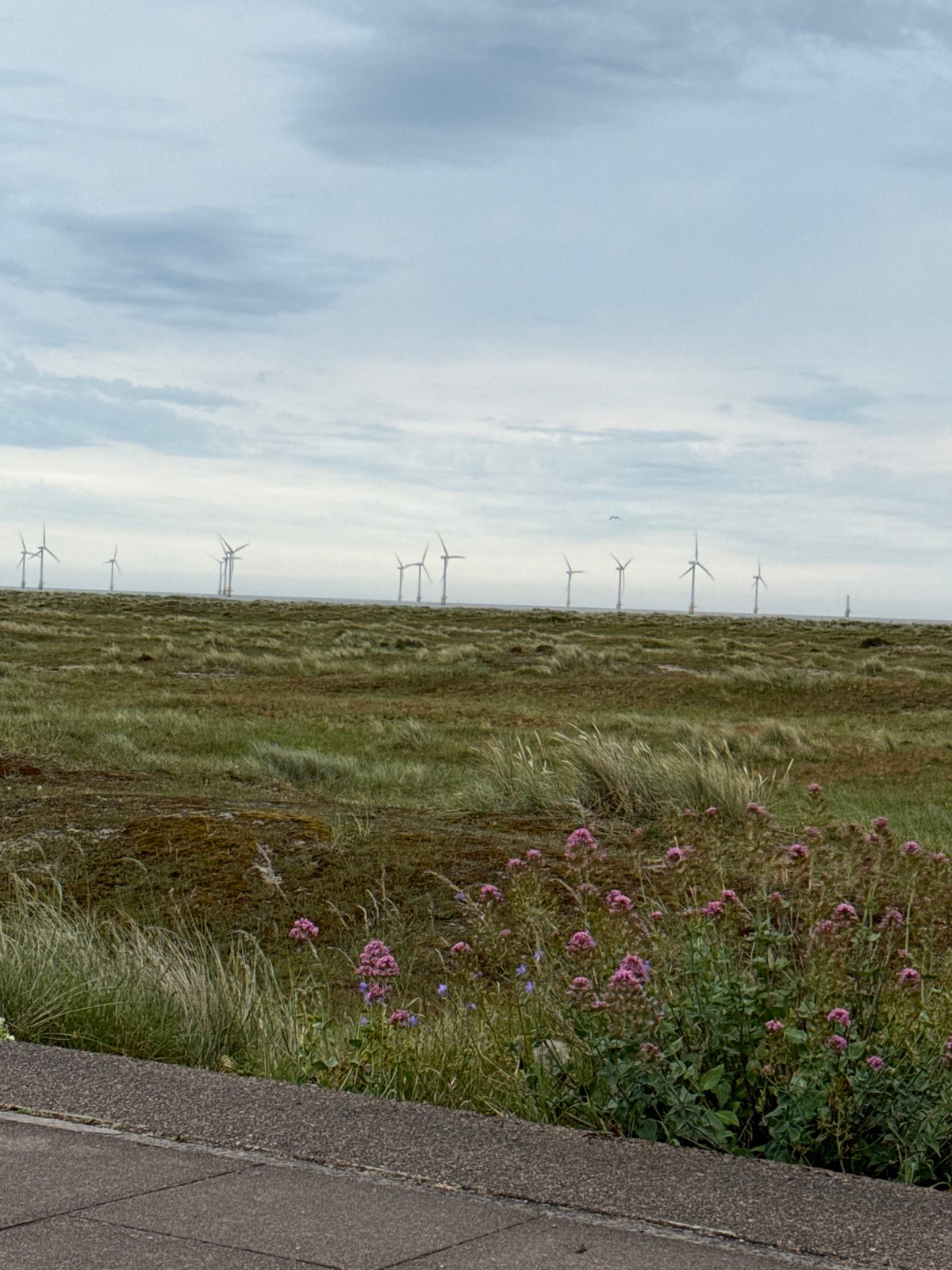 Offshore wind farm and coastal path, Great Yarmouth