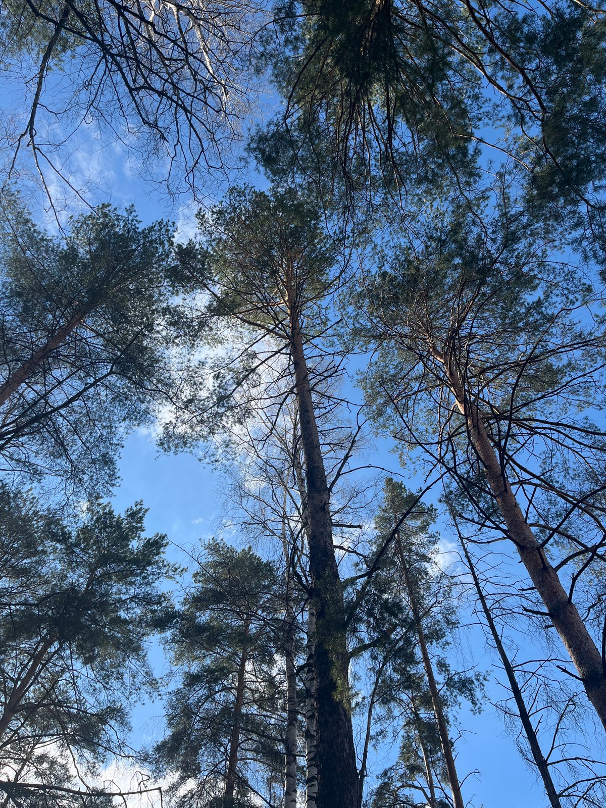 Spring walk documented through Chaikovsky parks and neighborhoods